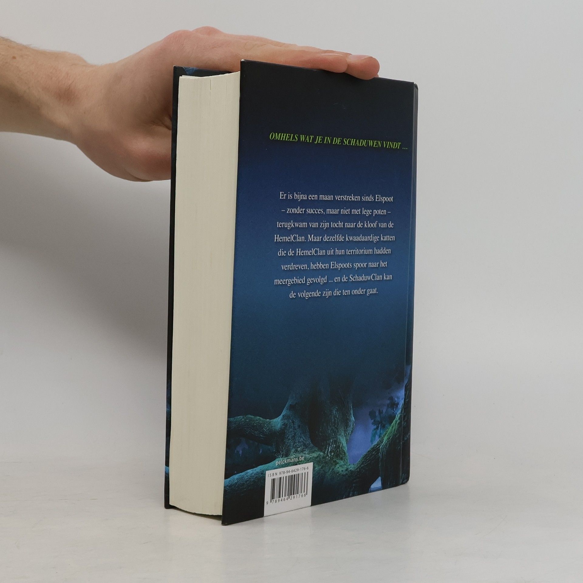 Erin Hunter Warrior Cats: Een Visioen van Schaduwen - 2: Donder en schaduw