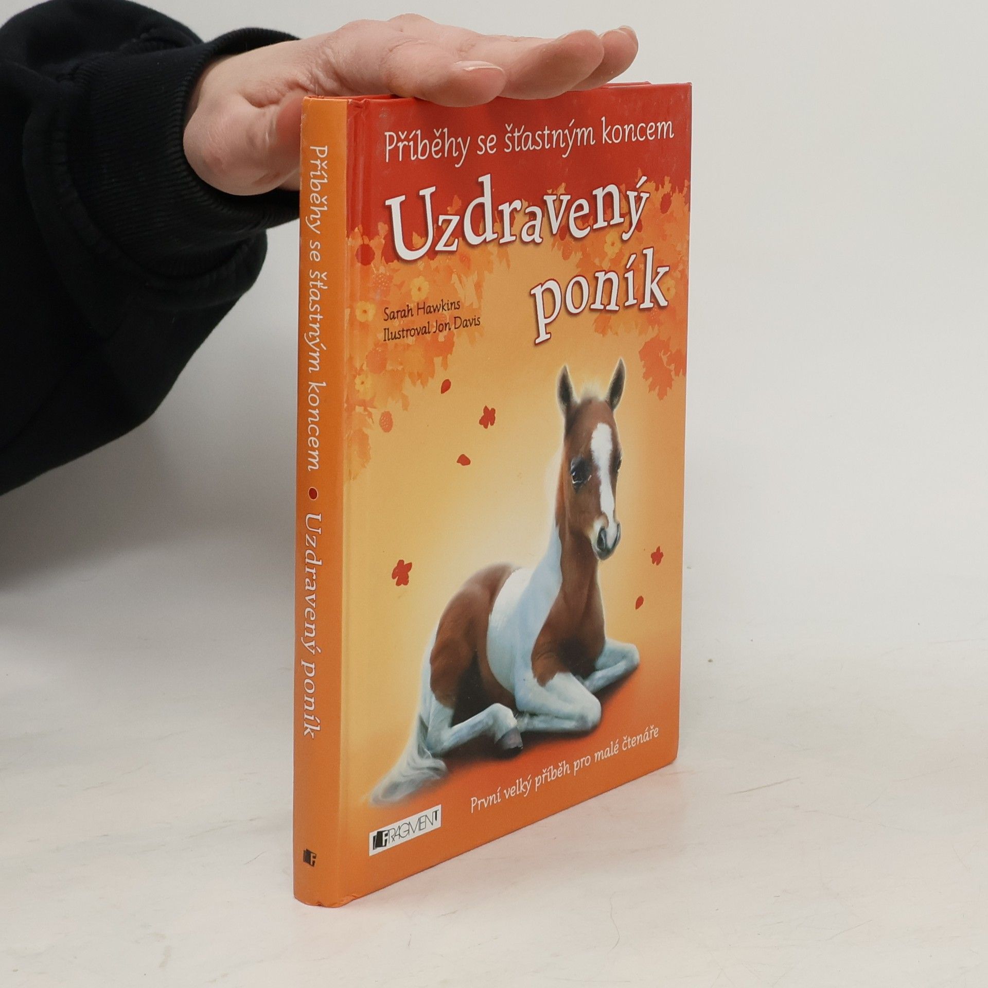 Sarah Hawkins Uzdravený poník