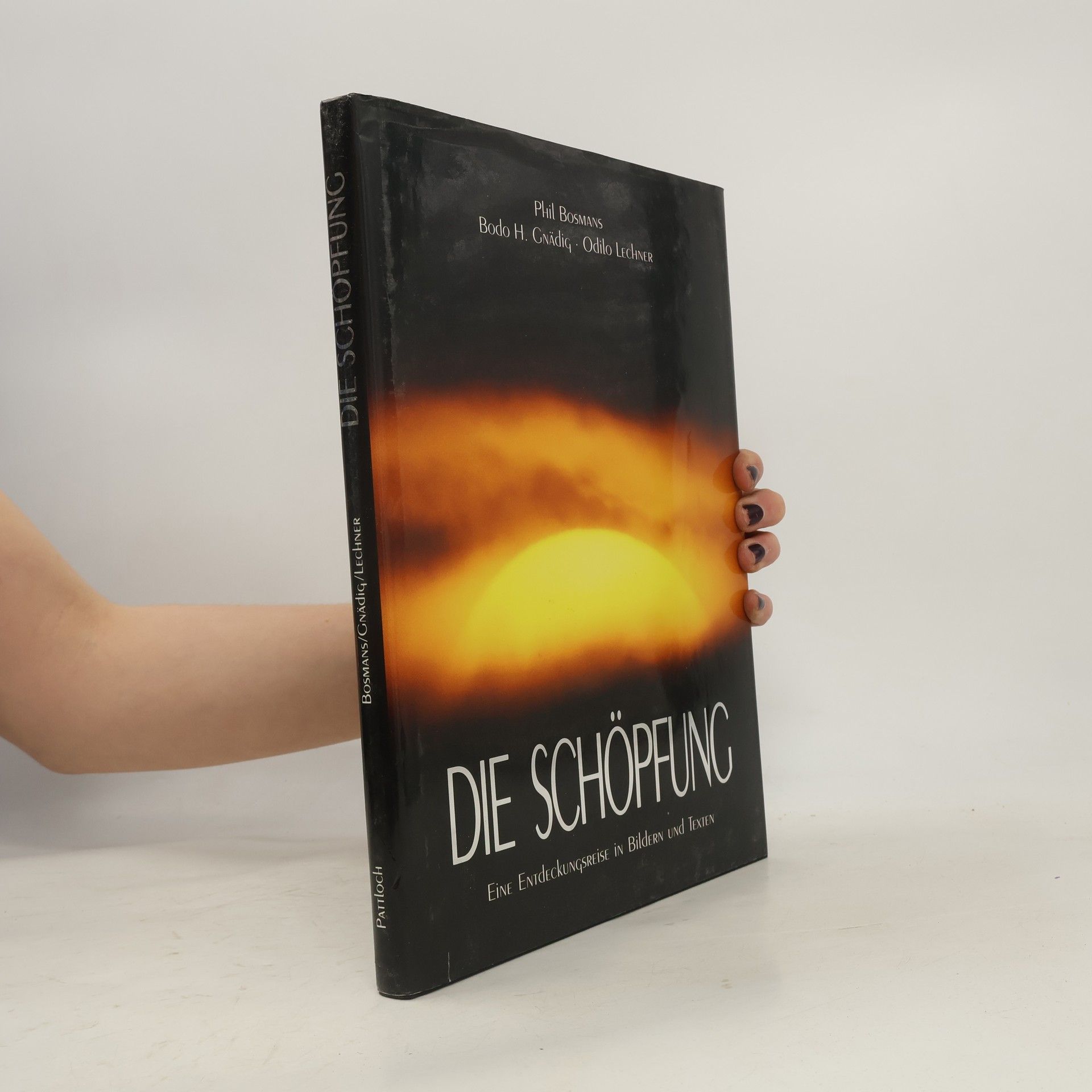 Phil Bosmans Die Schöpfung