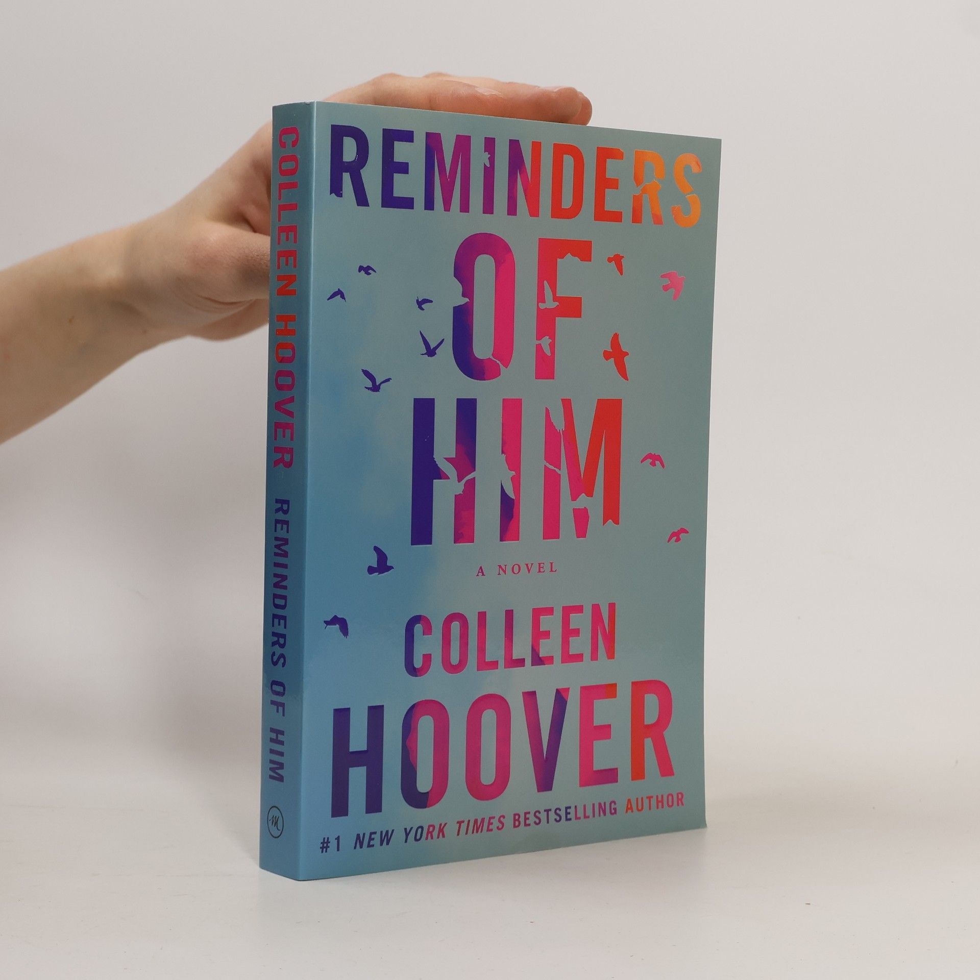 Colleen Hoover Reminders of him