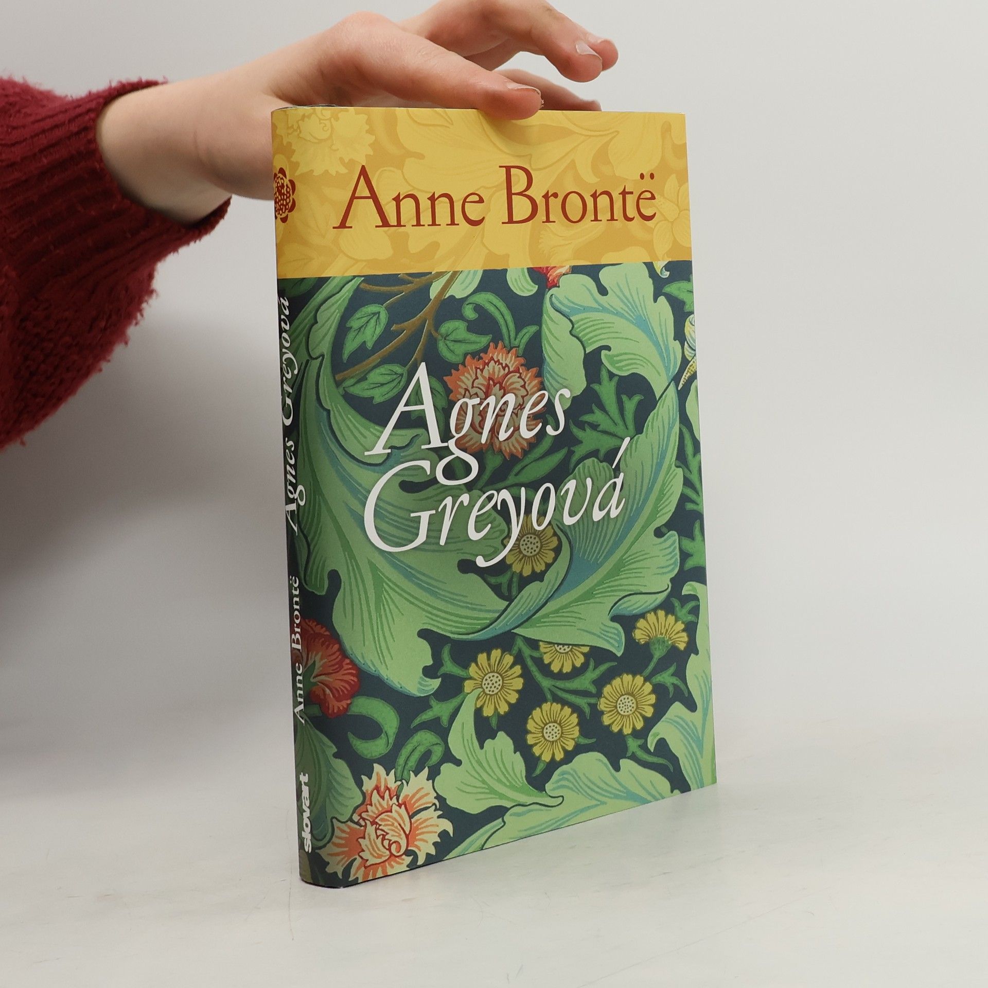 Anne Brontë Agnes Greyová