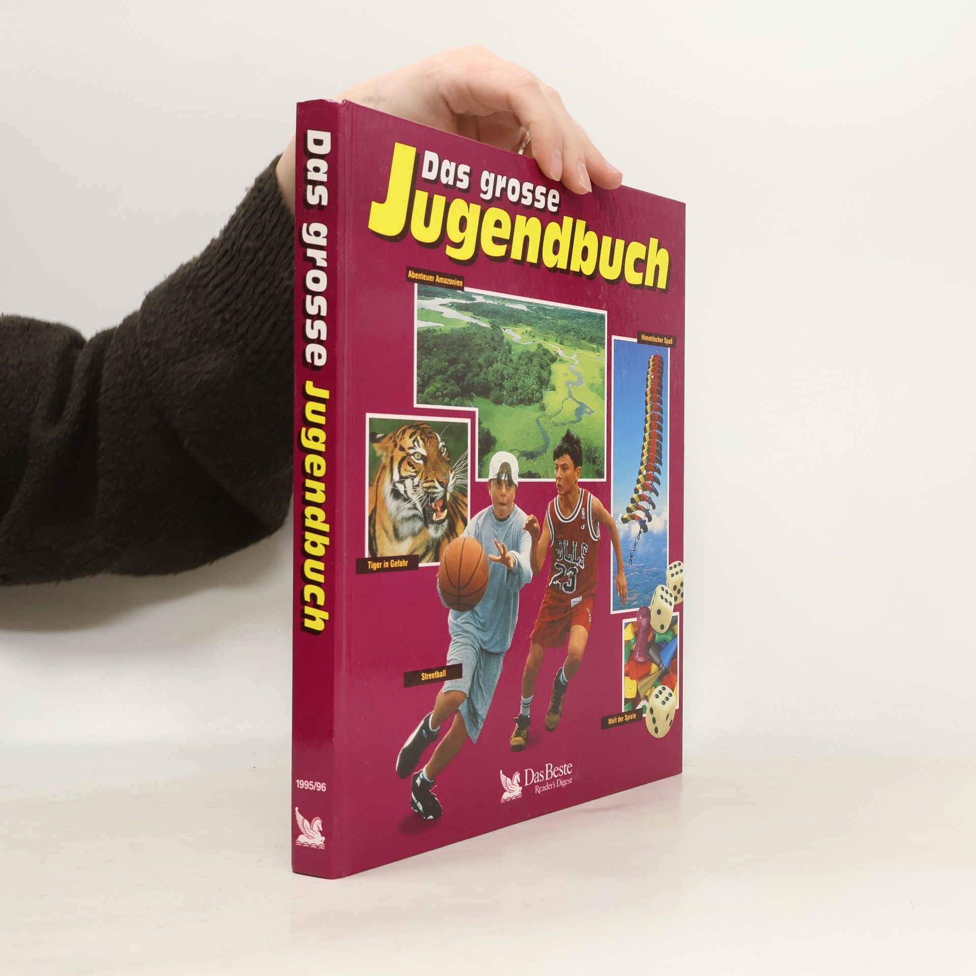 Various authors Das grosse Jugendbuch