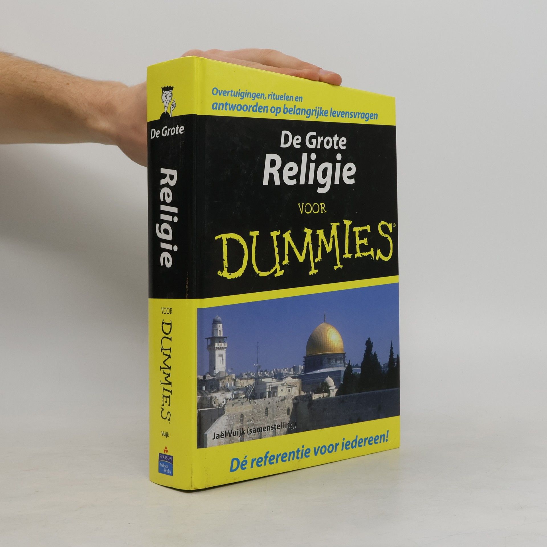 Jaël Vuijk De Grote Religie Voor Dummies