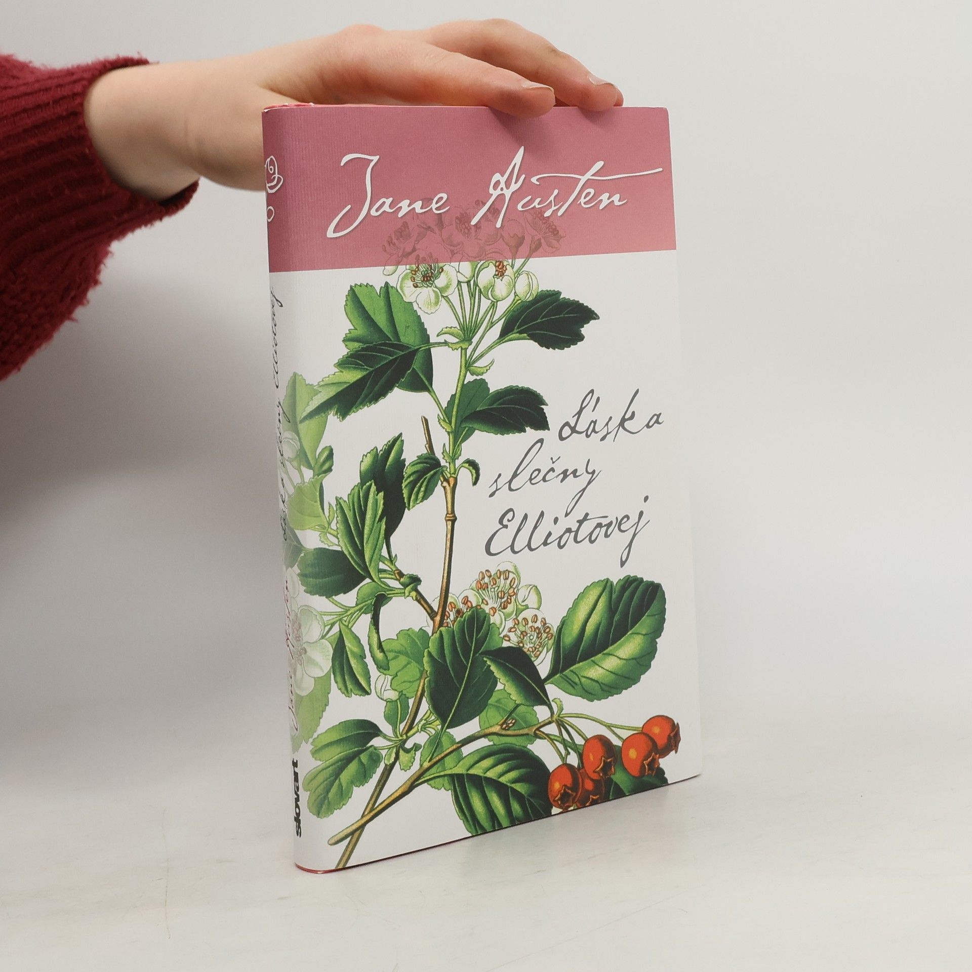 Jane Austen Láska slečny Elliotovej