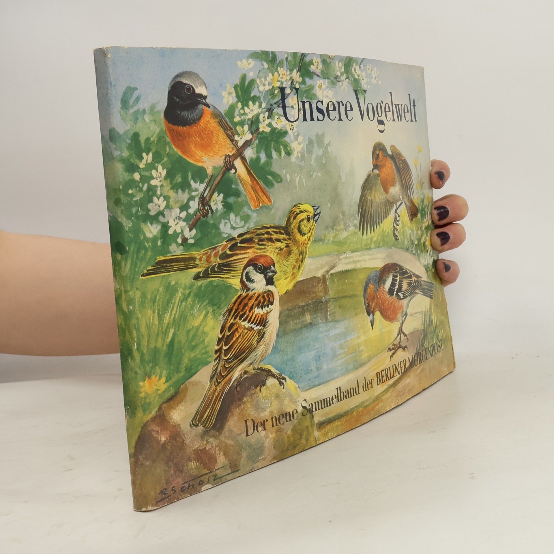 AA.VV. Unser Vogelwelt