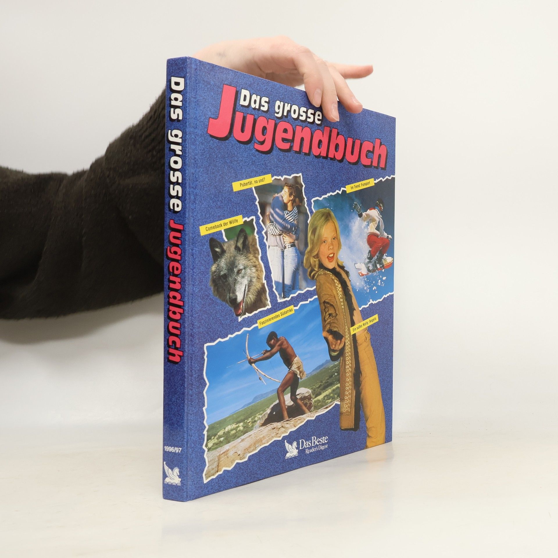Autorenkollektiv Das grosse Jugendbuch. 37. Folge