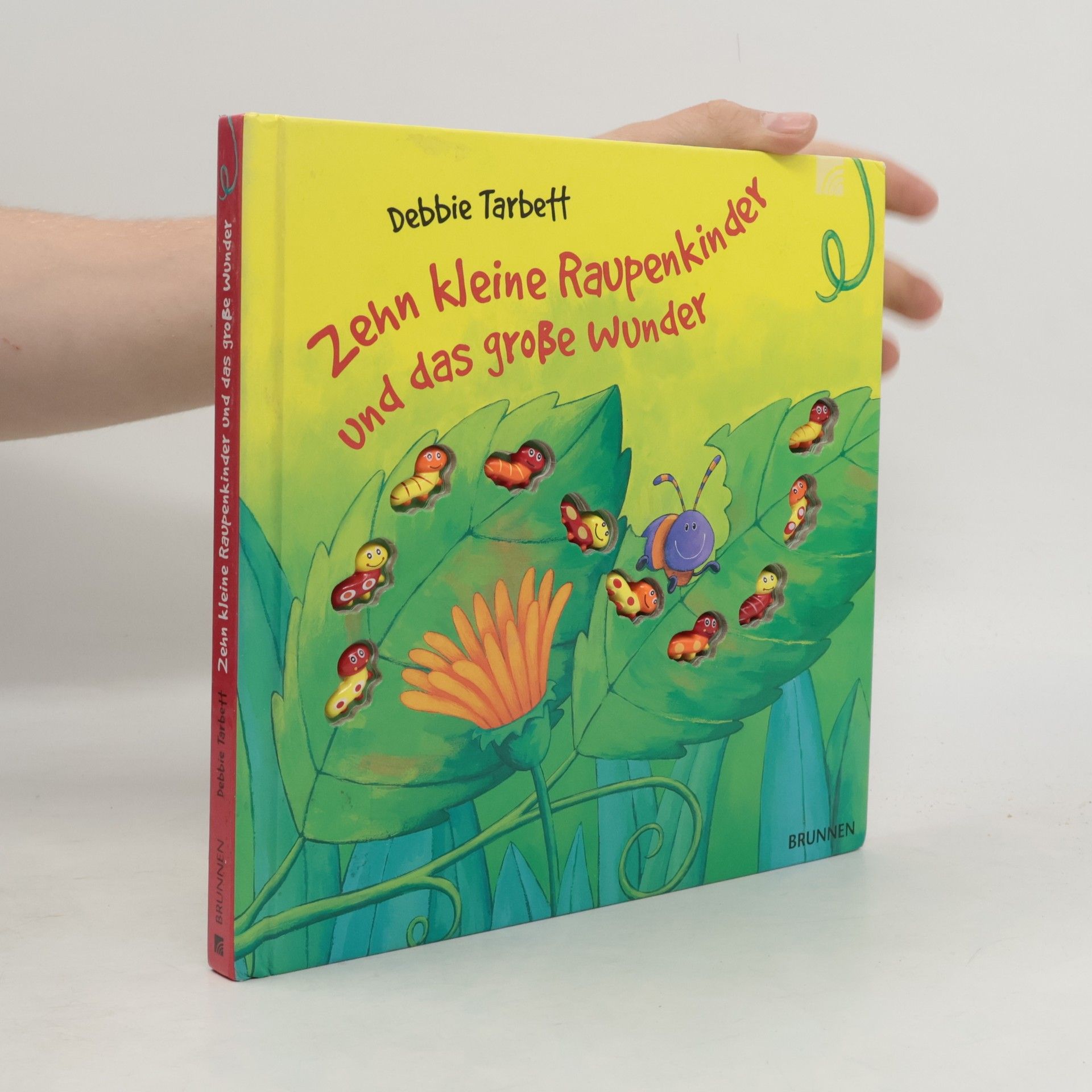 Debbie Tarbett Zehn kleine Raupenkinder und das große Wunder