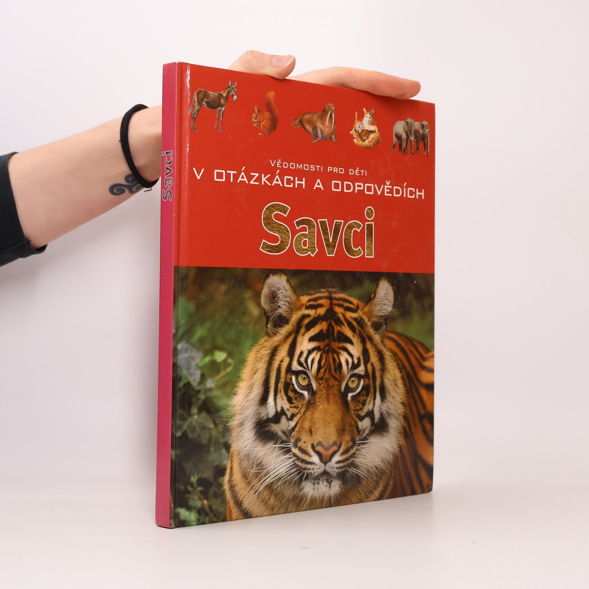 Mirka Slámová Savci. V otázkách a odpovědích. Vědomosti pro děti