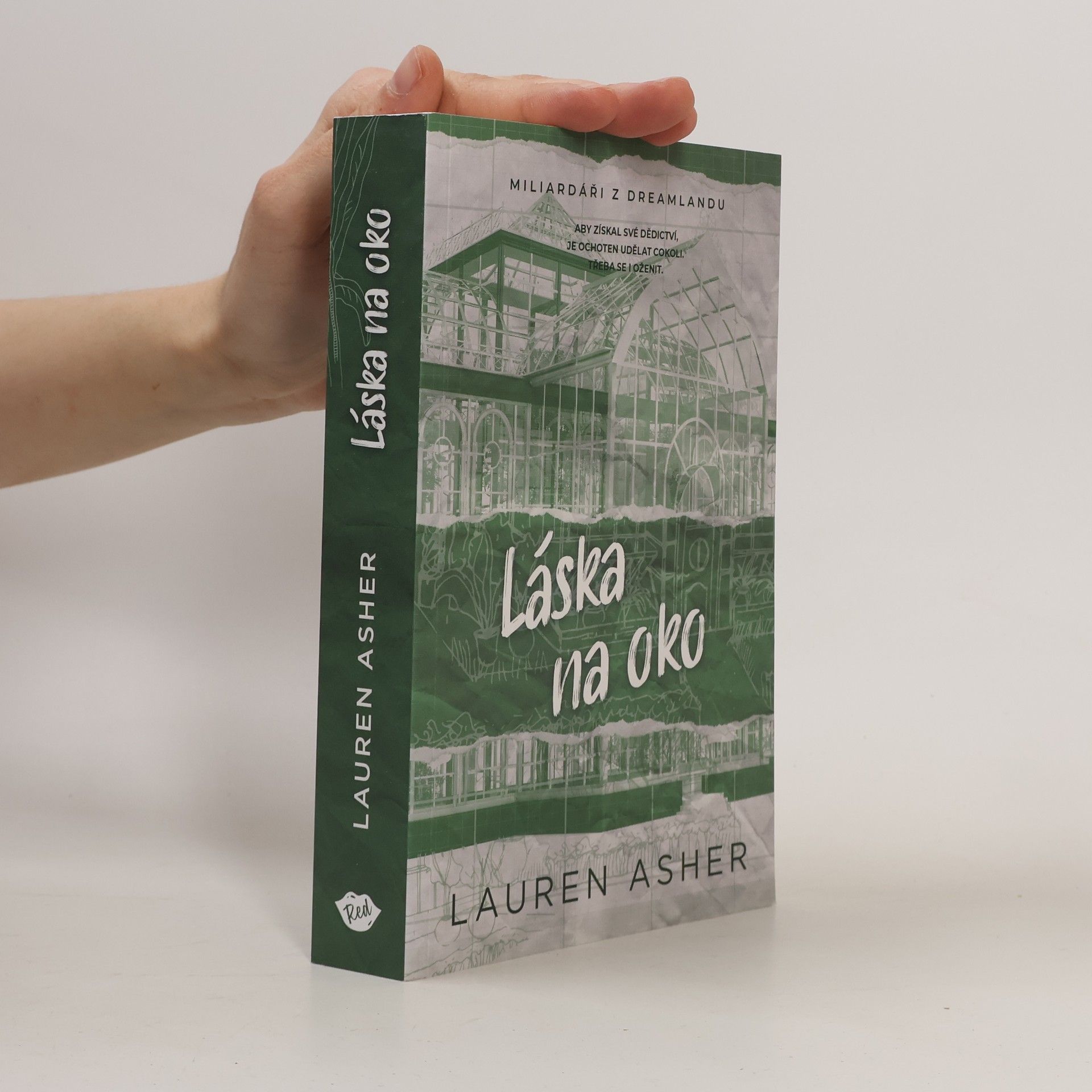 Lauren Asher Láska na oko