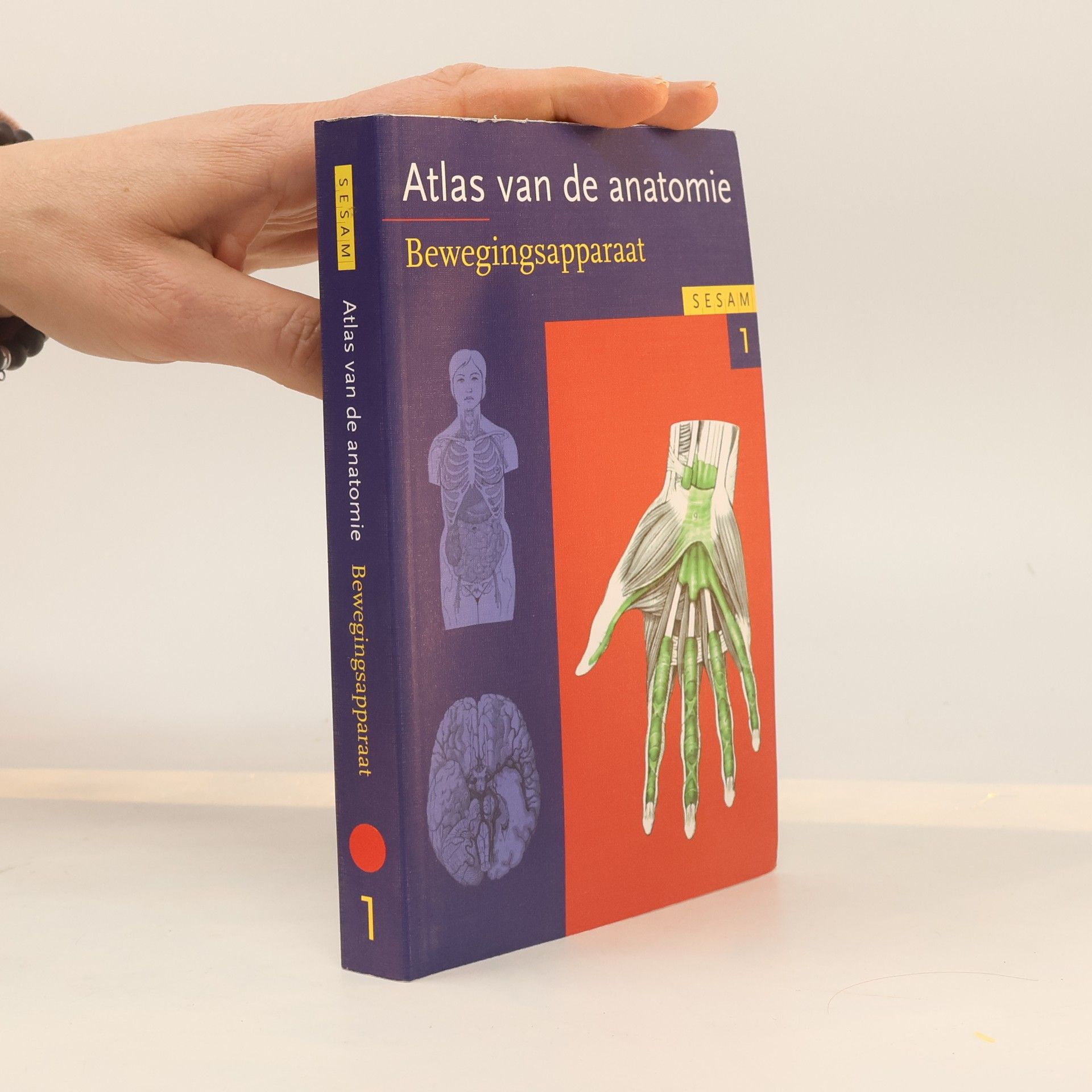 Sesam atlas van de anatomie