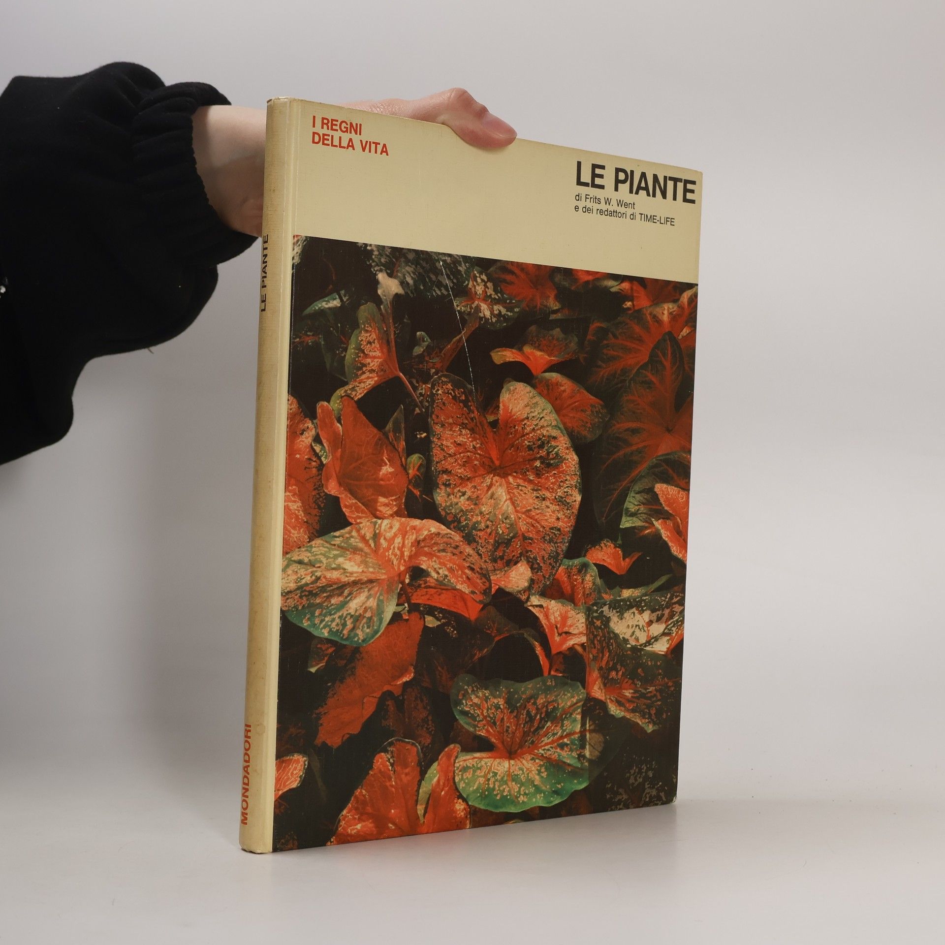 Frits W. Went Le piante