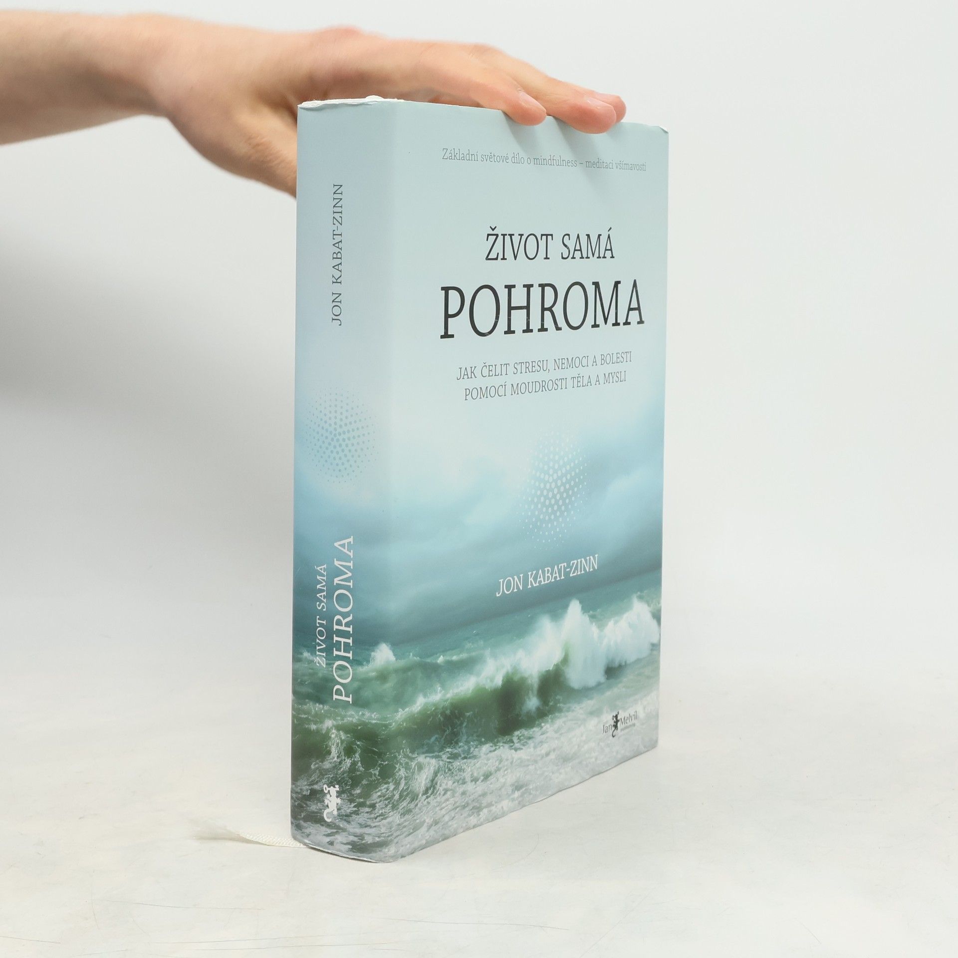 Jon Kabat-Zinn Život samá pohroma