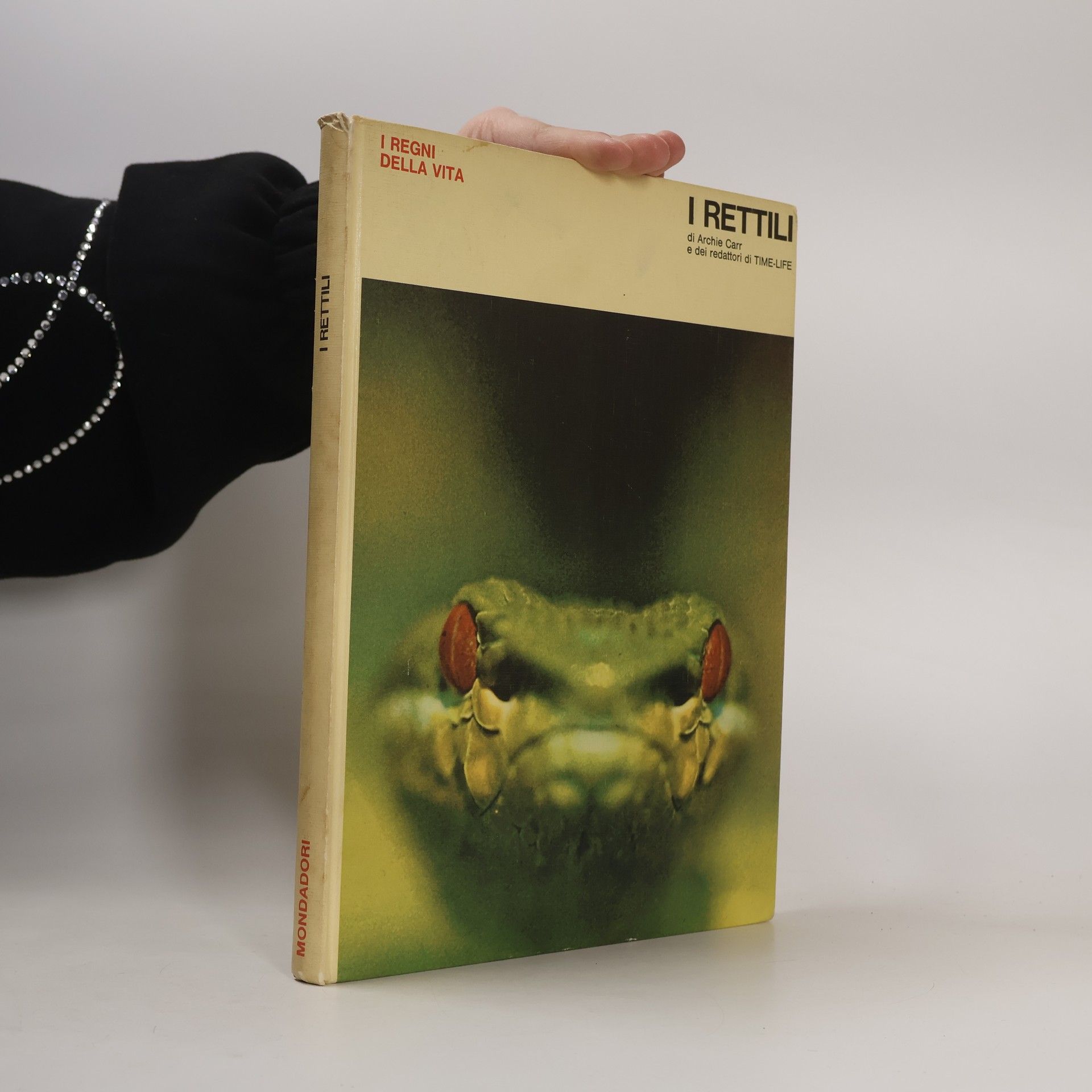 Archie Carr I rettili