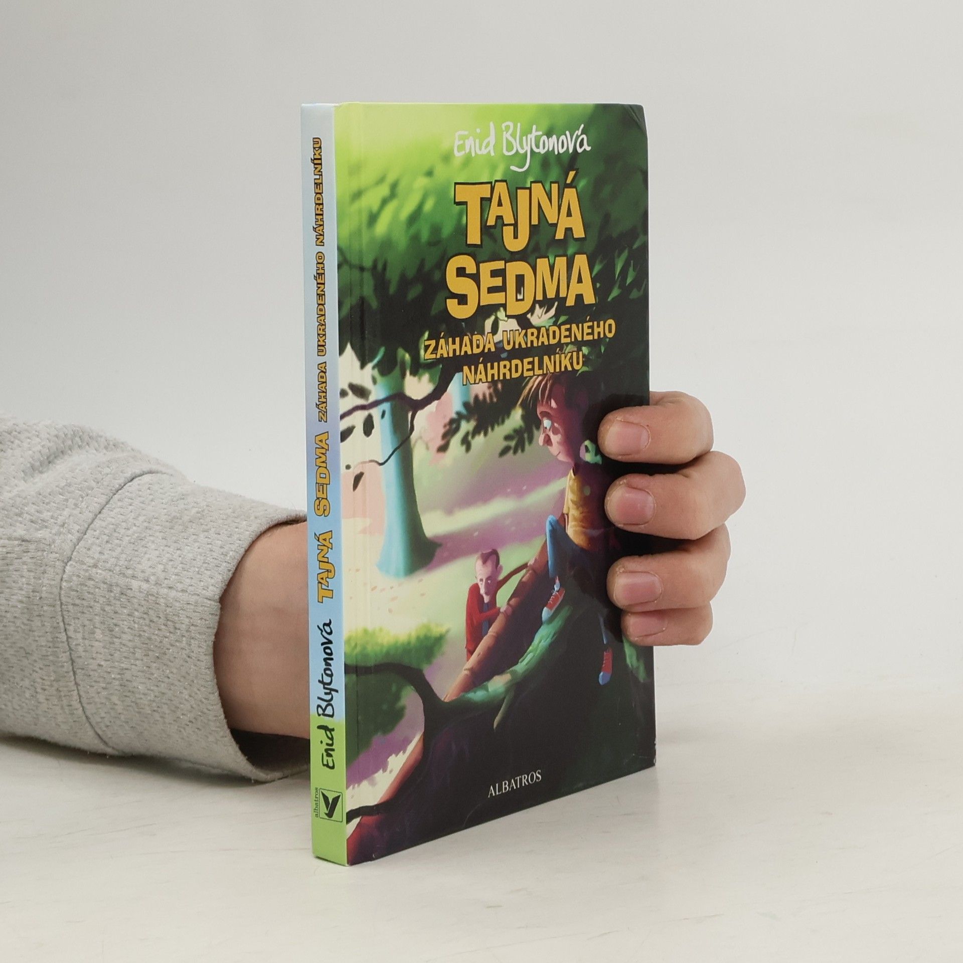 Enid Blyton Záhada ukradeného náhrdelníku