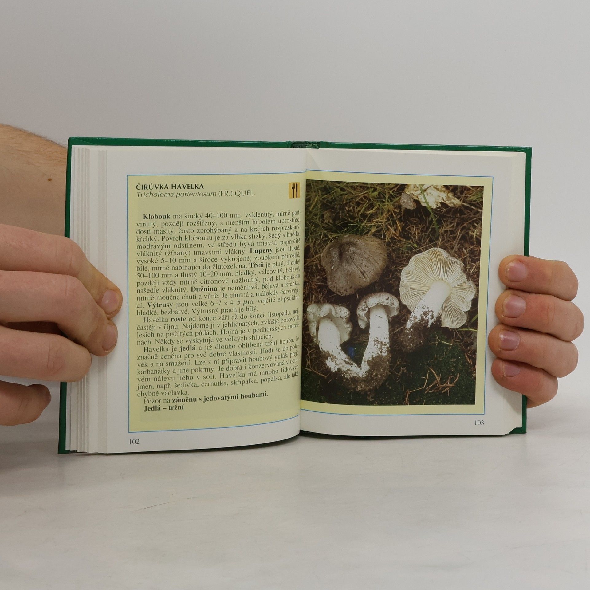 Miroslav Smotlacha Kapesní atlas hub