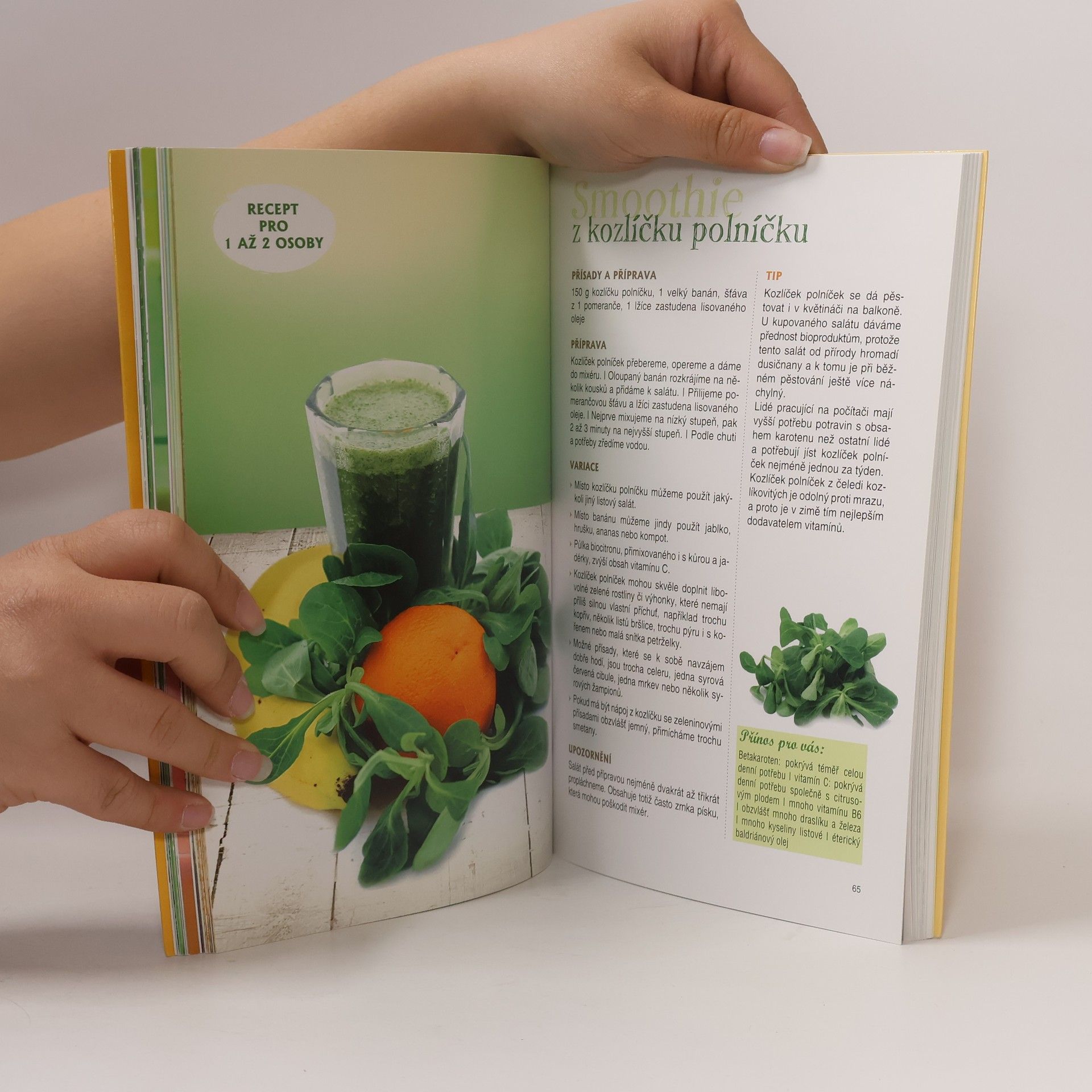 Siegrid Hirsch Nejlepší ovocná, zeleninová a bylinková smoothies