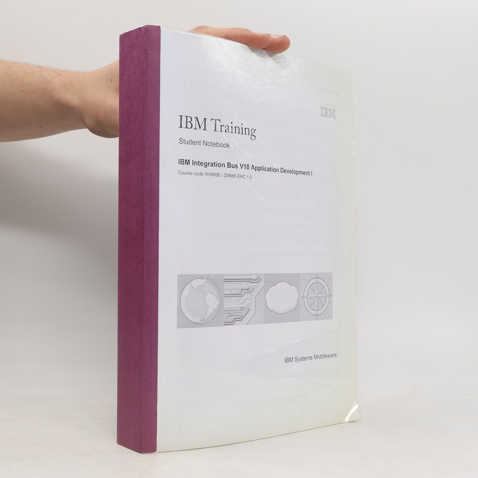 Collectif d'auteurs IBM Training