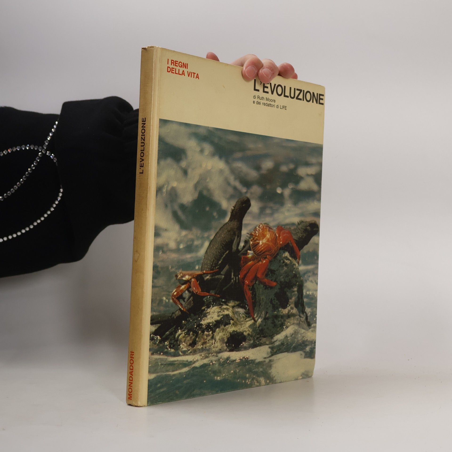 Ruth Moore L’evoluzione