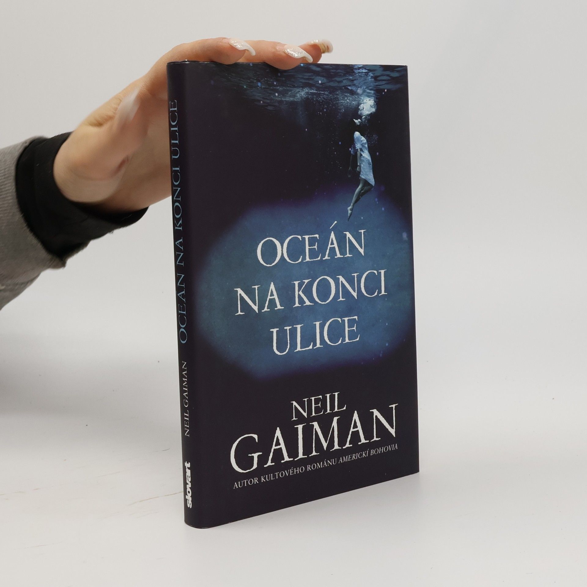 Neil Gaiman Oceán na konci ulice