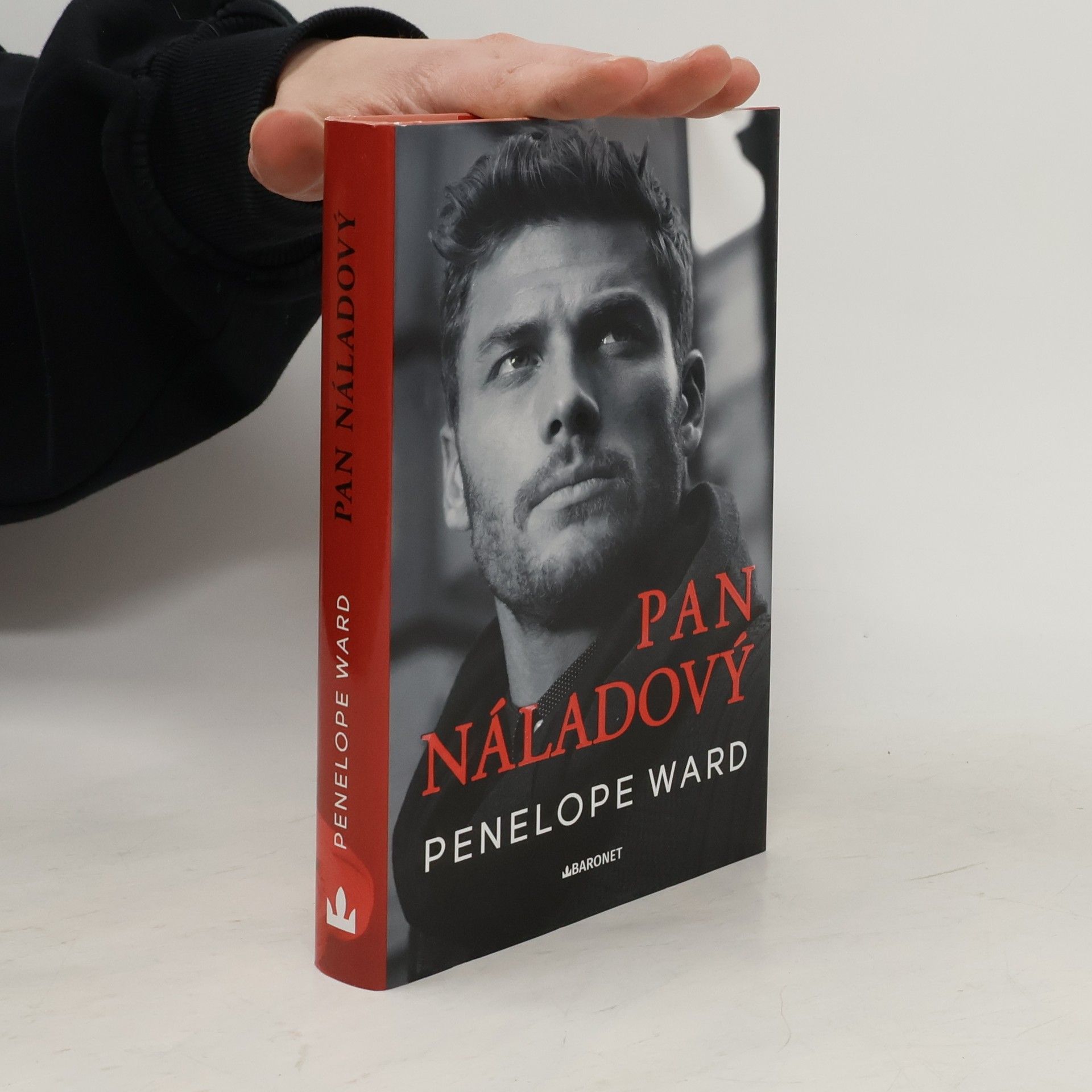 Penelope Ward Pan Náladový