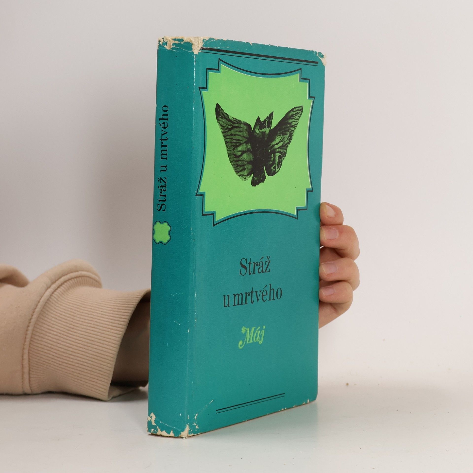 Kolektiv autorů Stráž u mrtvého