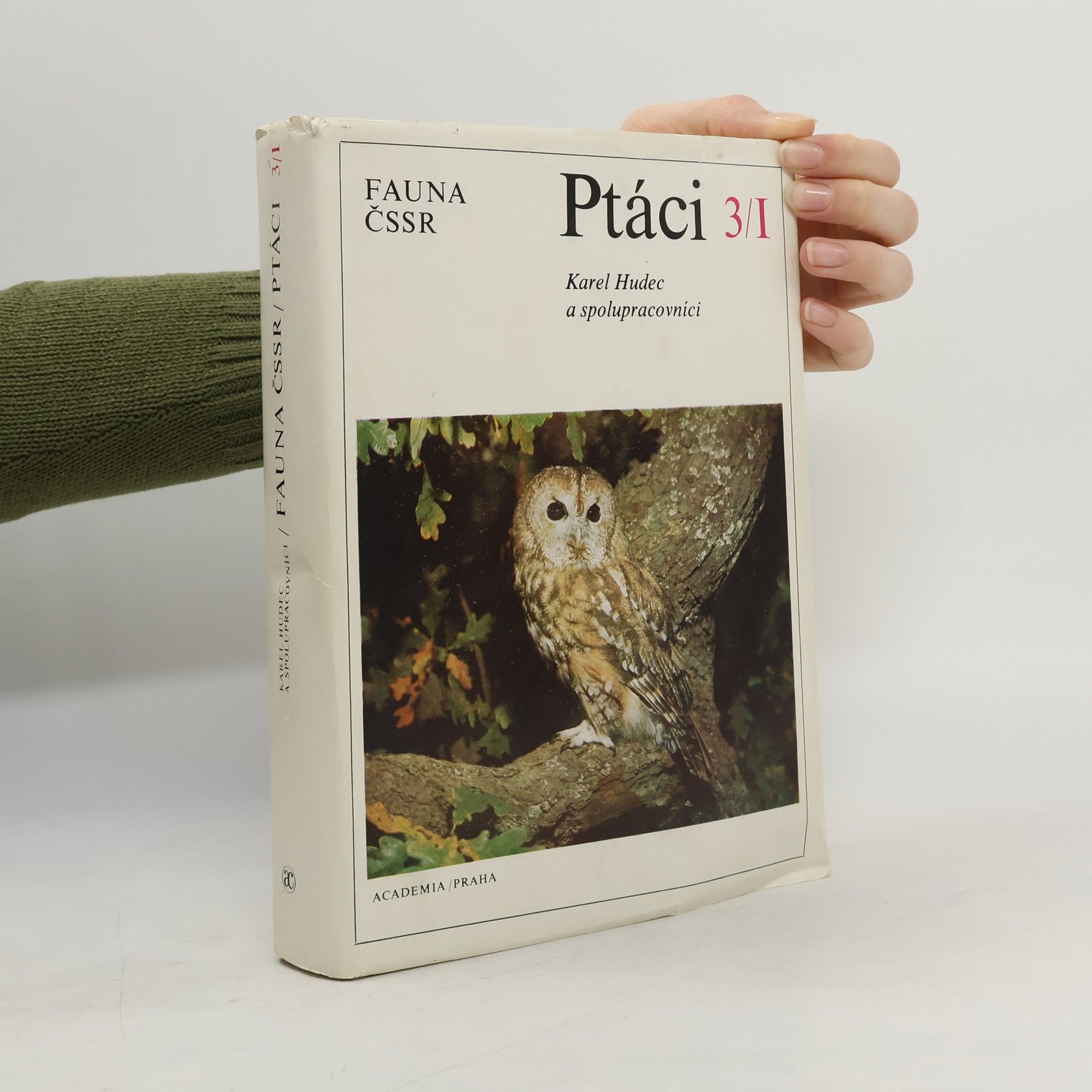 Karel Hudec Ptáci 3/1