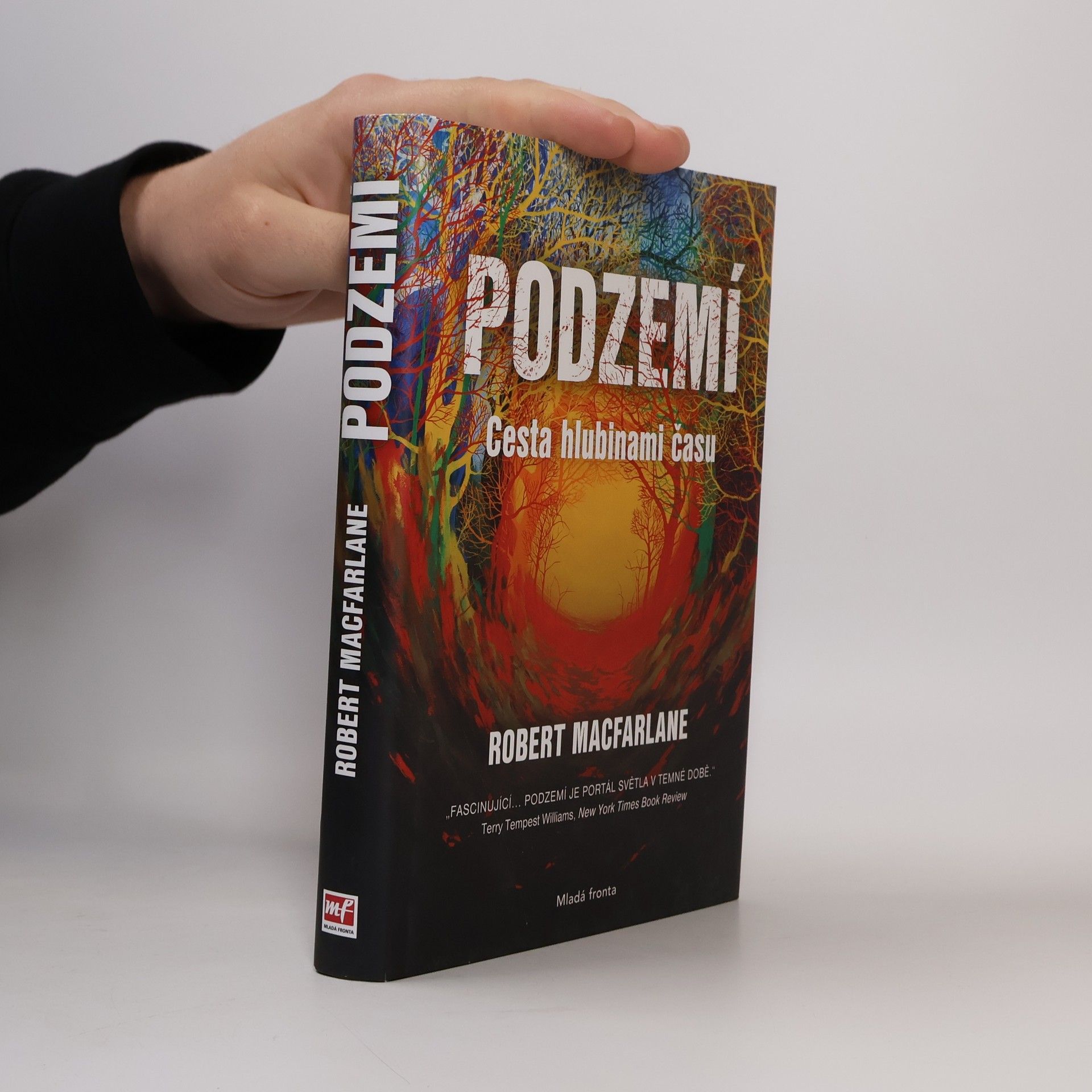 Robert McFarlane Podzemí : cesta hlubinami času