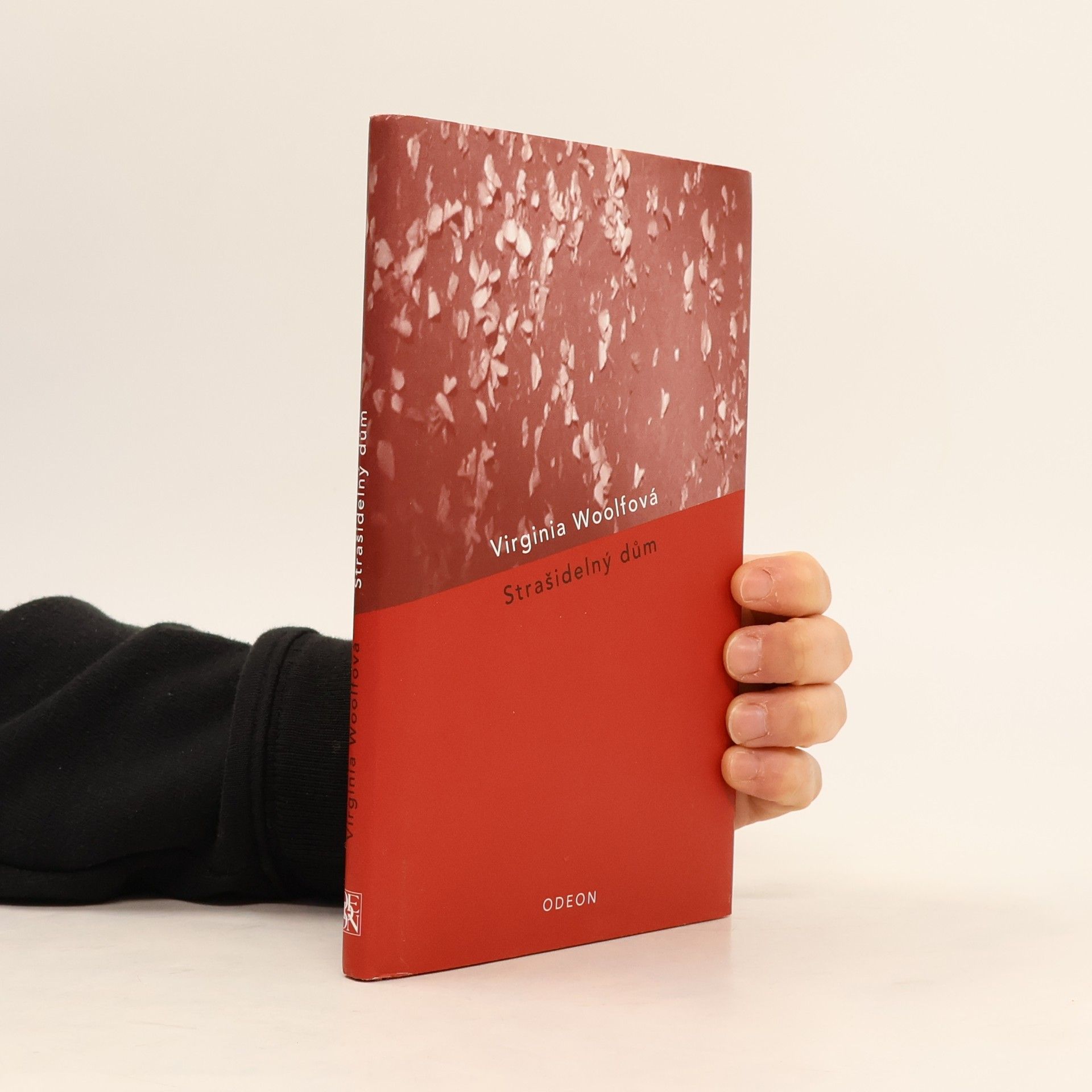 Virginia Woolf Strašidelný dům