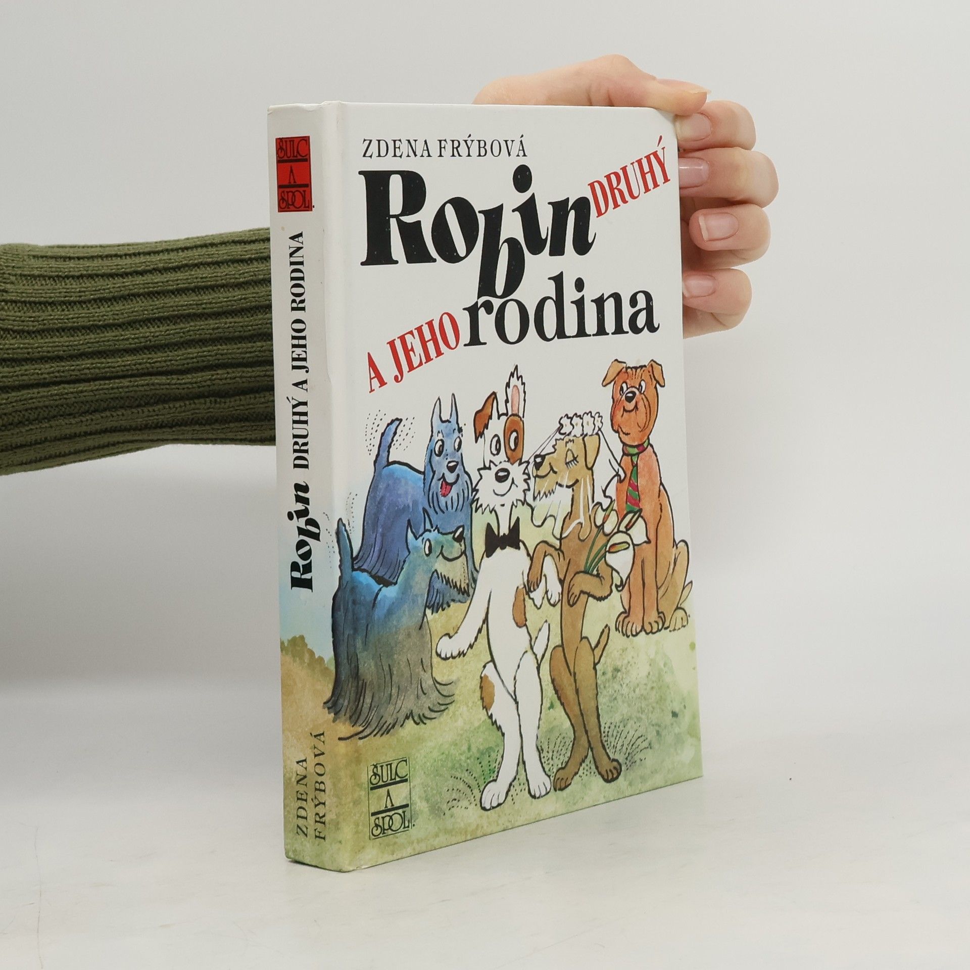 Zdena Frýbová Robin Druhý a jeho rodina