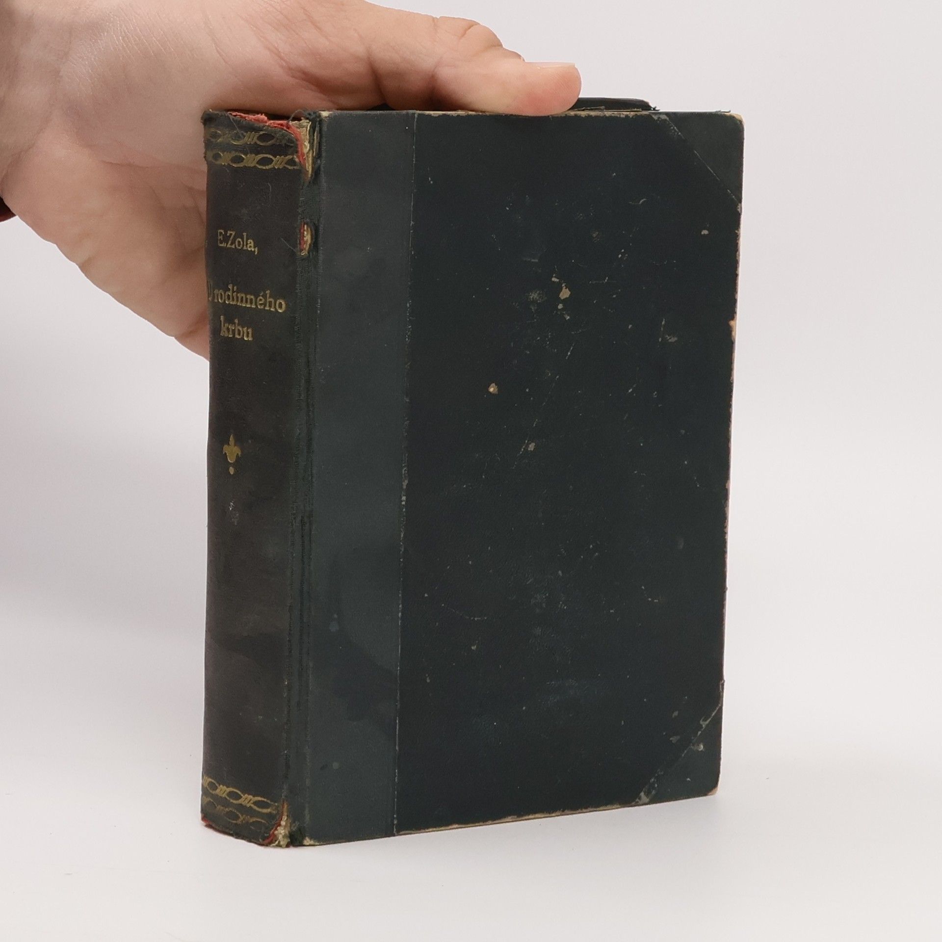 Émile Zola U rodinného krbu