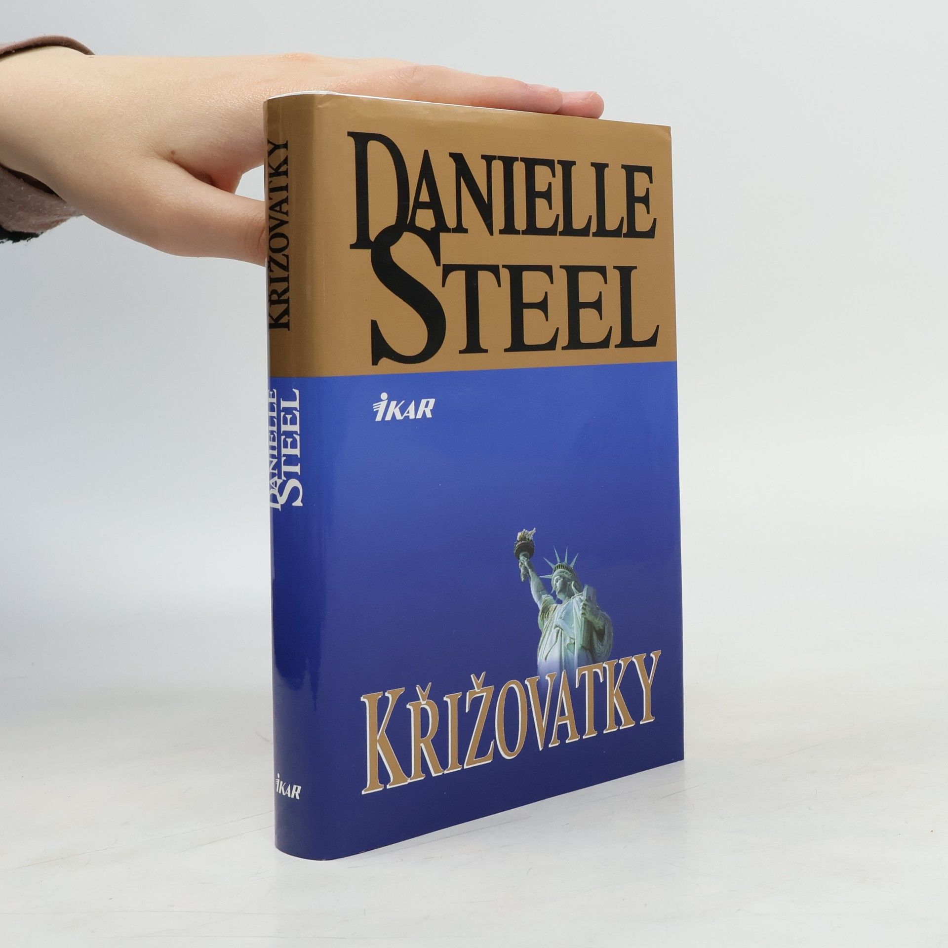 Danielle Steel Křižovatky