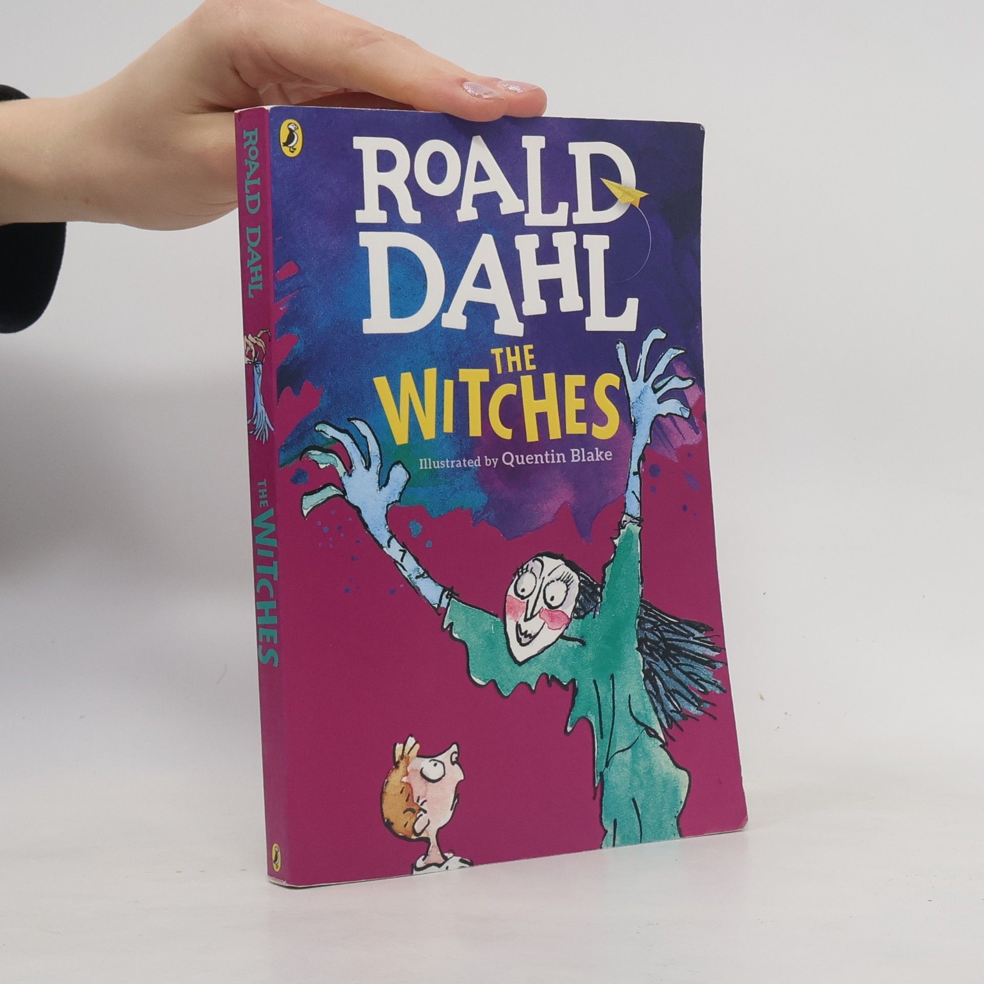 Roald Dahl The Witches