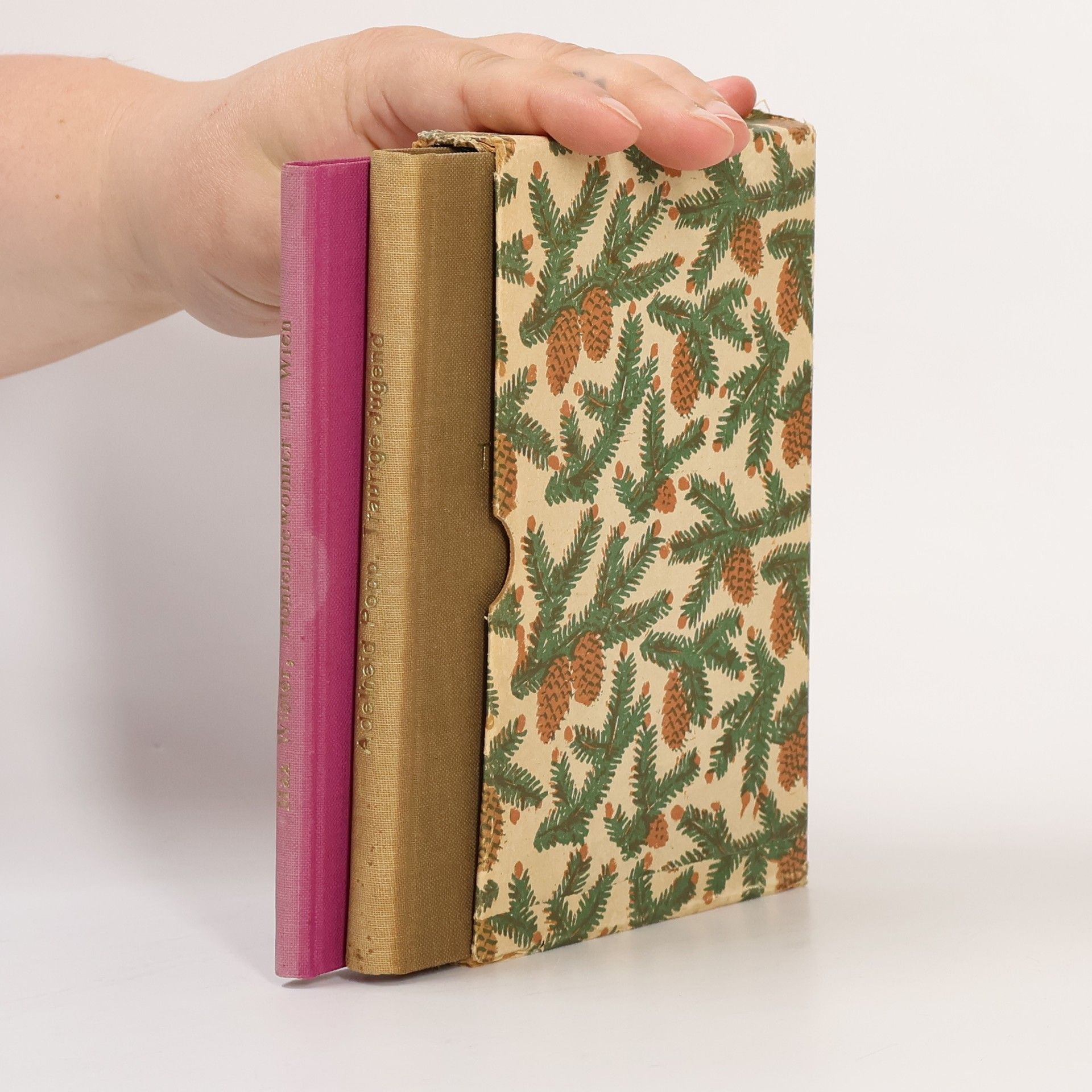 Max Winter Höhlenbewohner in Wien. Traurige Jugend