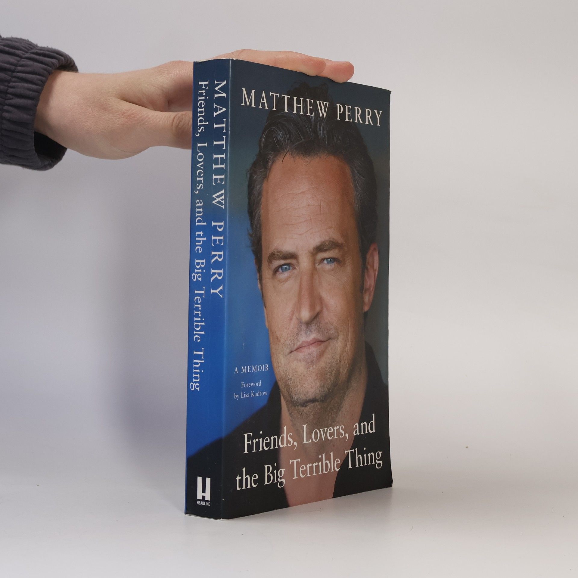 Matthew Perry Friends, lovers, and the big terrible thing