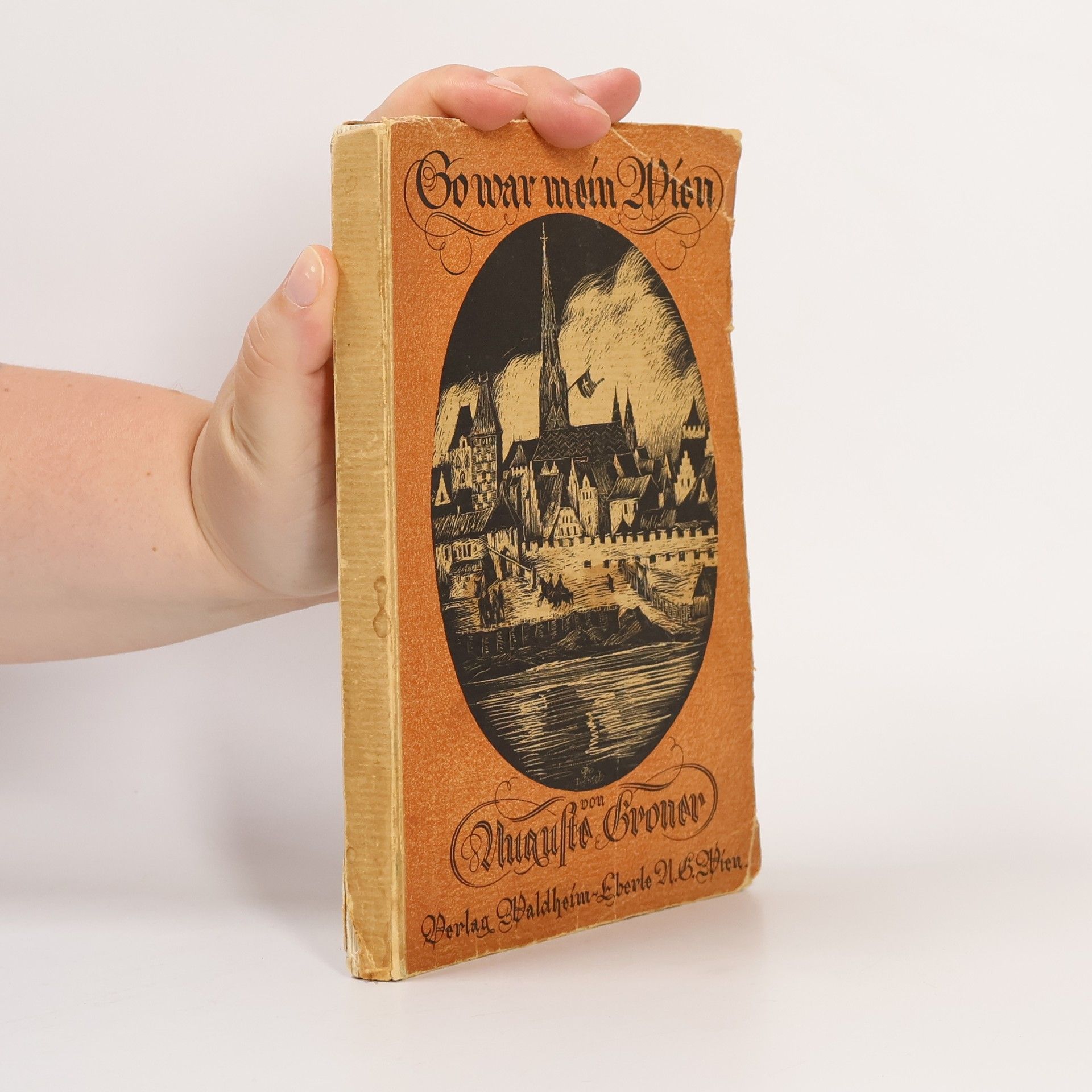 Auguste Groner So war mein Wien: Skizzen über alte Straßen, Plätze, Höfe in Wien