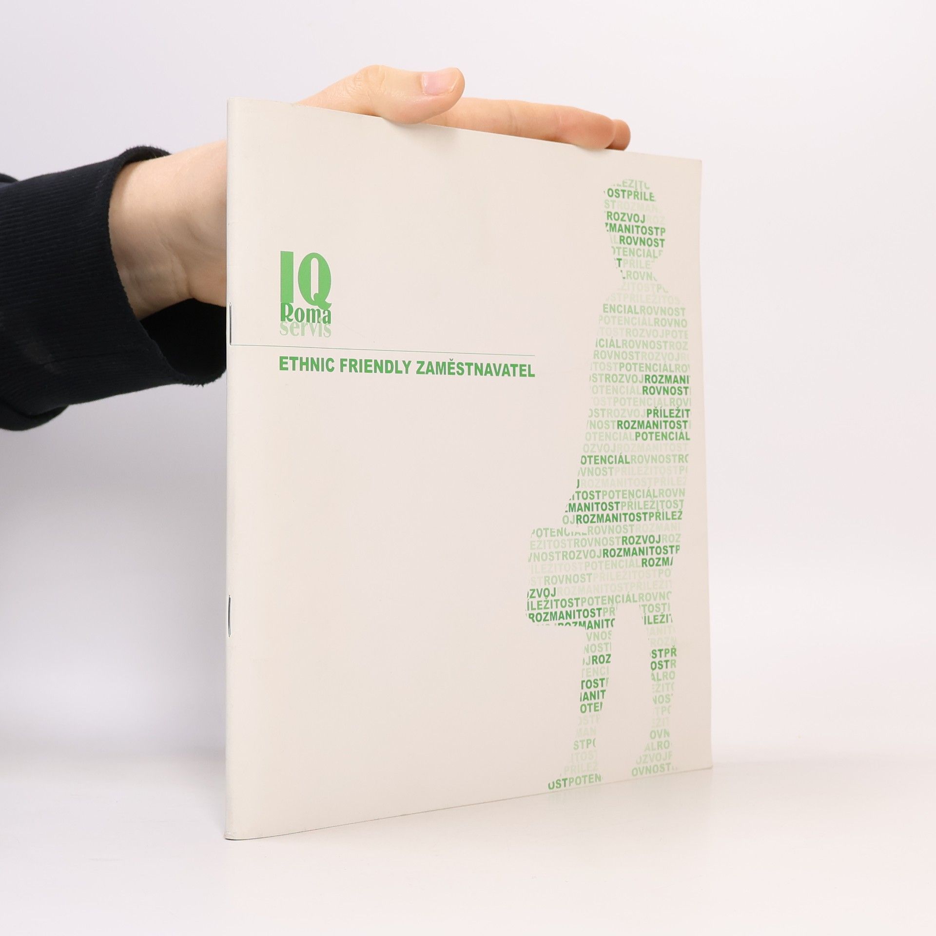 Ethnic Friendly zaměstnavatel