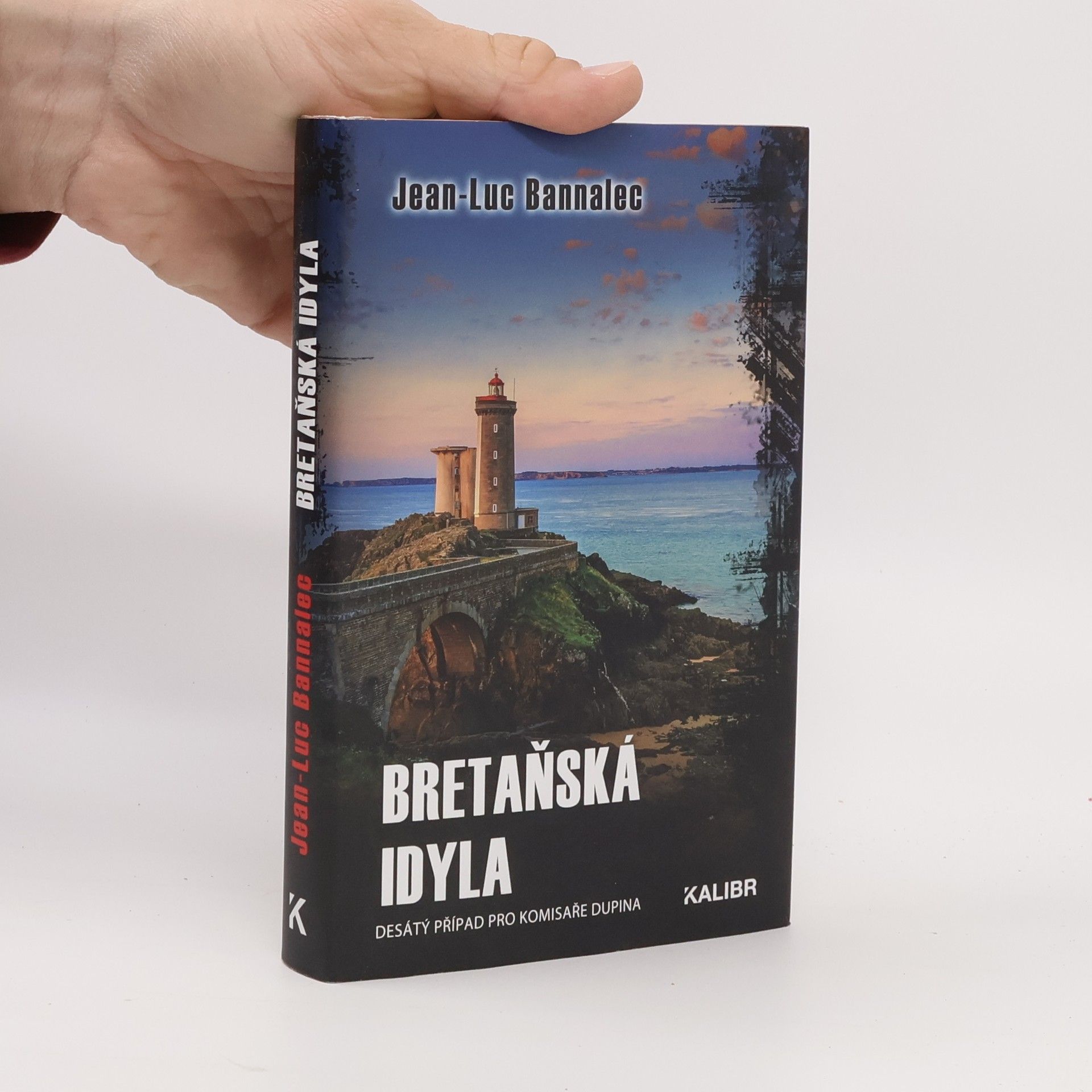 Jörg Bong Bretaňská idyla : desátý případ pro komisaře Dupina