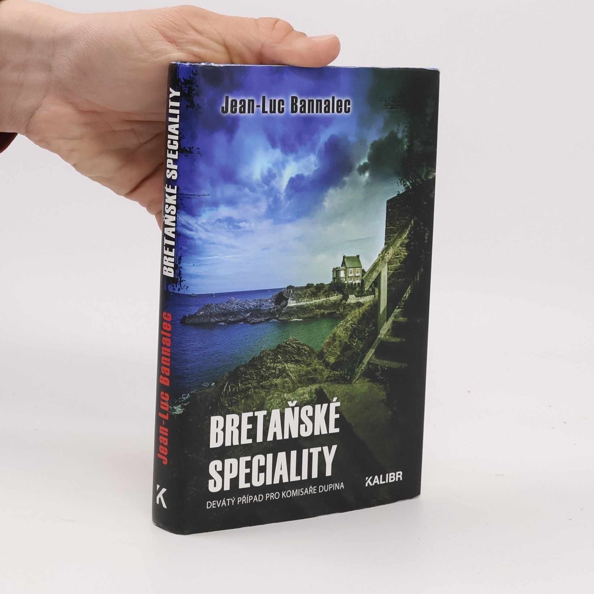 Jörg Bong Bretaňské speciality : devátý případ pro komisaře Dupina