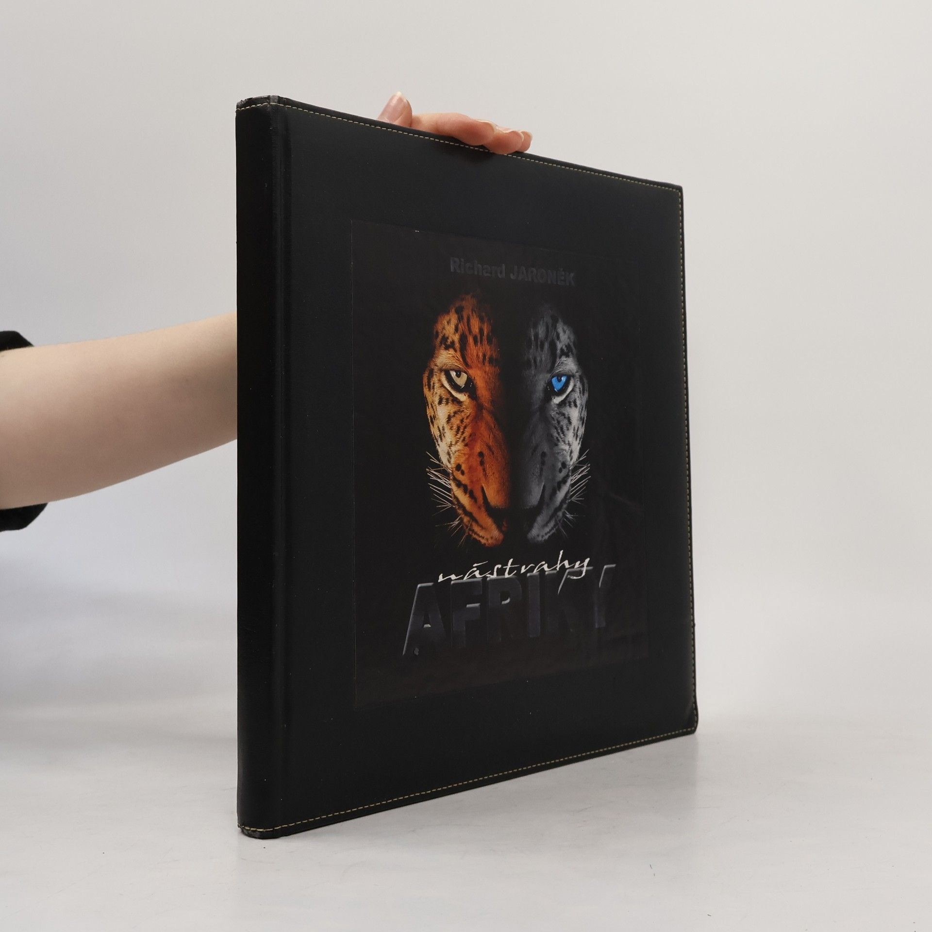 Richard Jaroněk Nástrahy Afriky