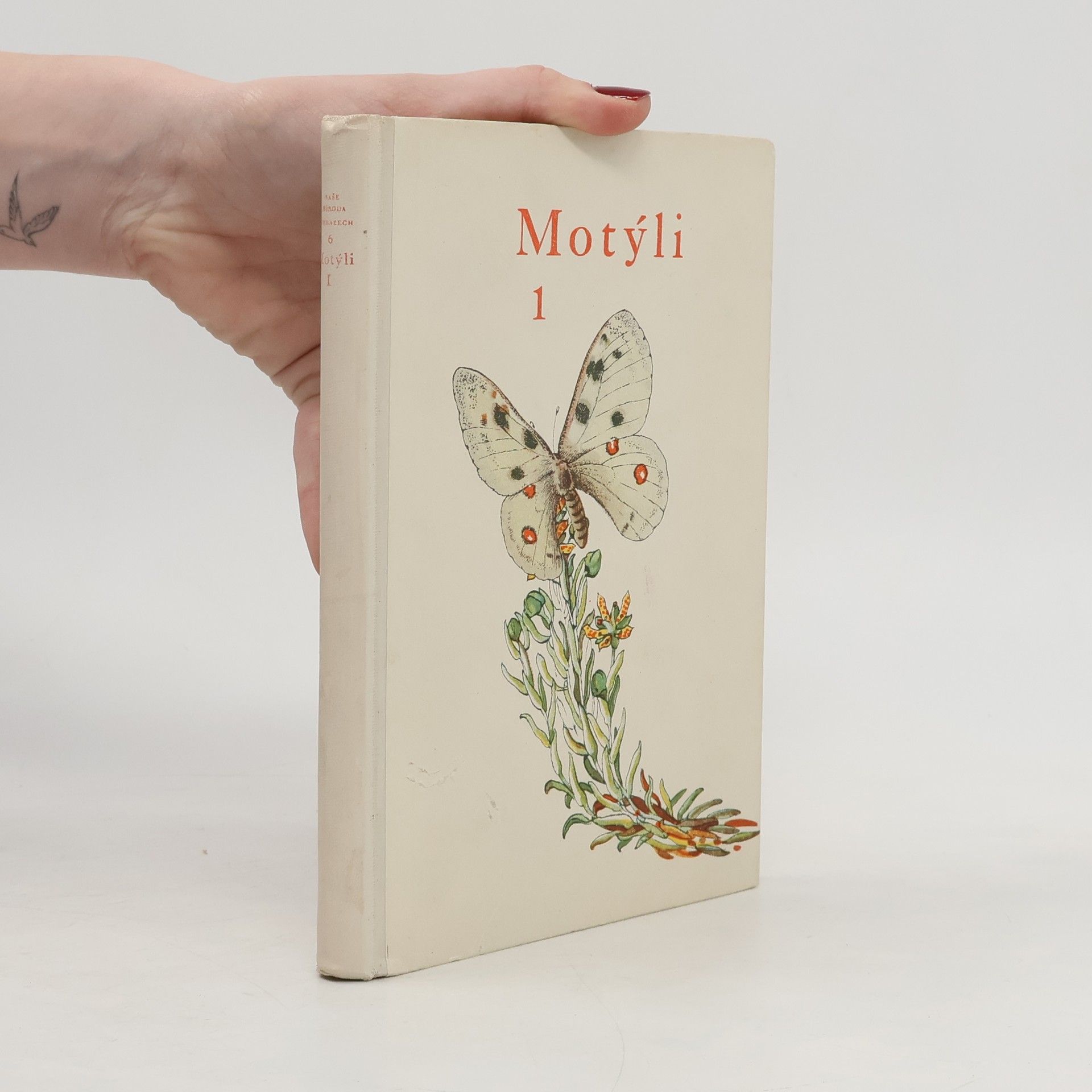 Rudolf Schwarz Motýli denní. 1