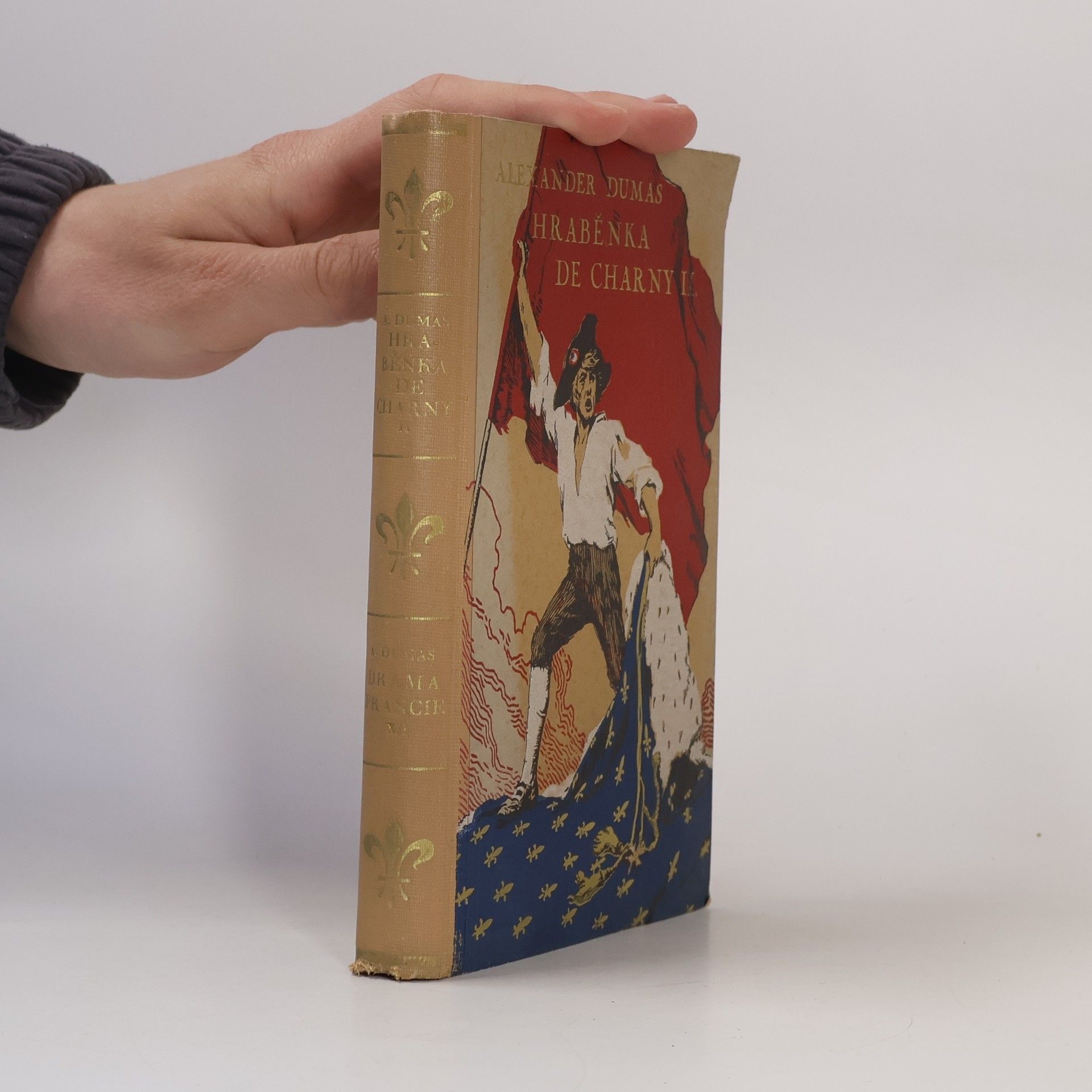 Alexandre Dumas der Ältere Hraběnka de Charny I.