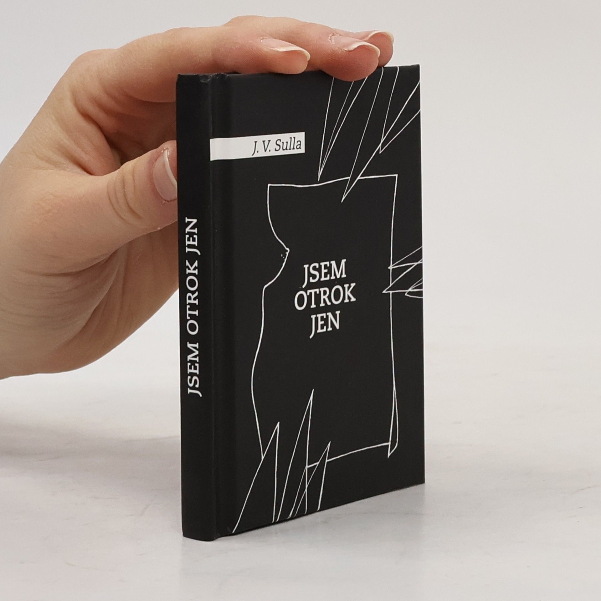 J. V. Sulla Jsem jen otrok