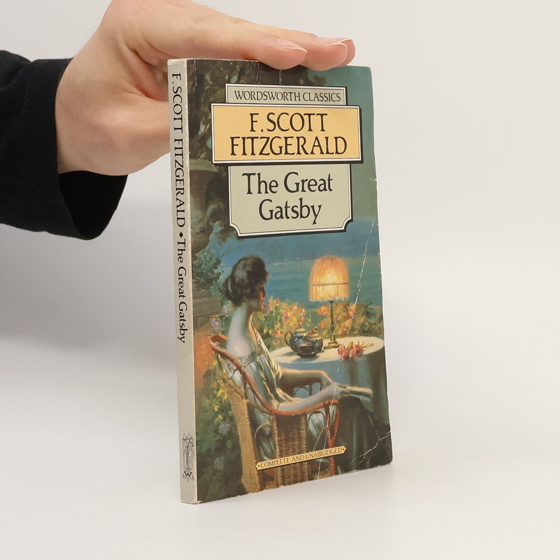 Francis Scott Fitzgerald The Great Gatsby