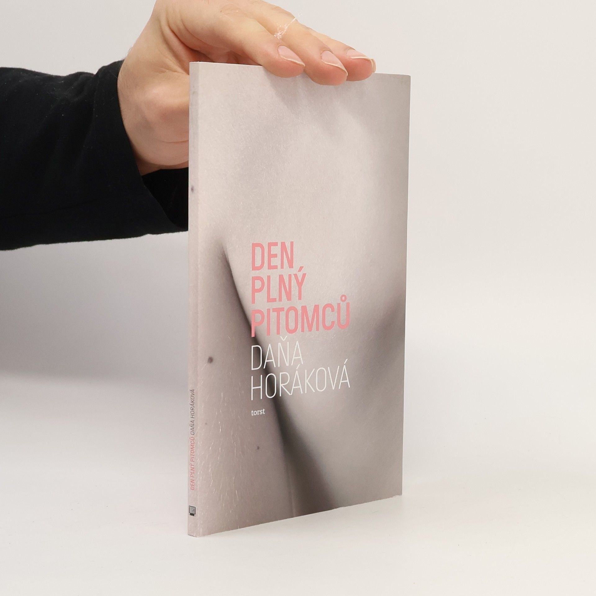 Daňa Horáková Den plný pitomců