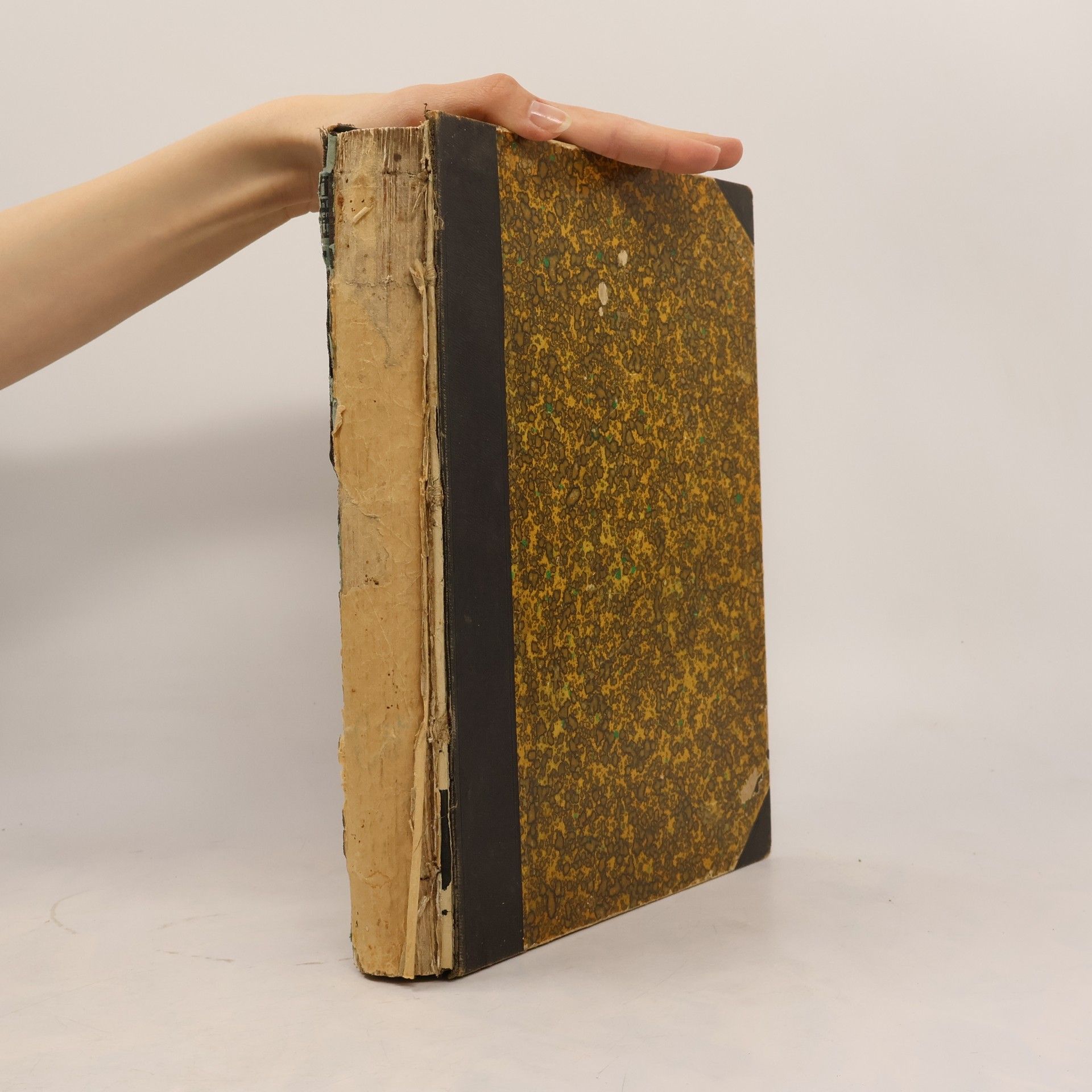 Kolektiv autorů Světozor