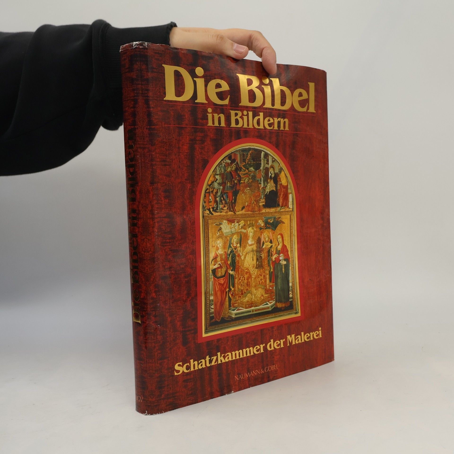 Autorenkollektiv Die Bibel in Bildern. Schatzkammer der Malerei