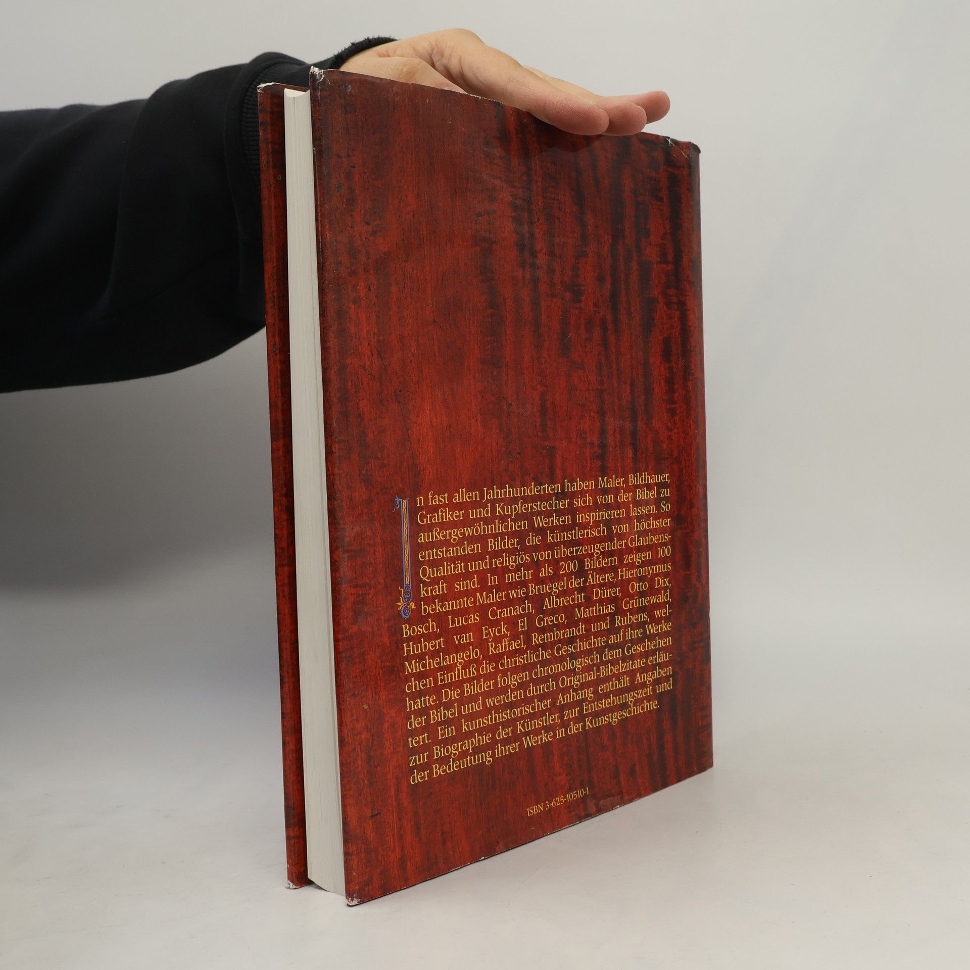 Autores varios Die Bibel in Bildern. Schatzkammer der Malerei