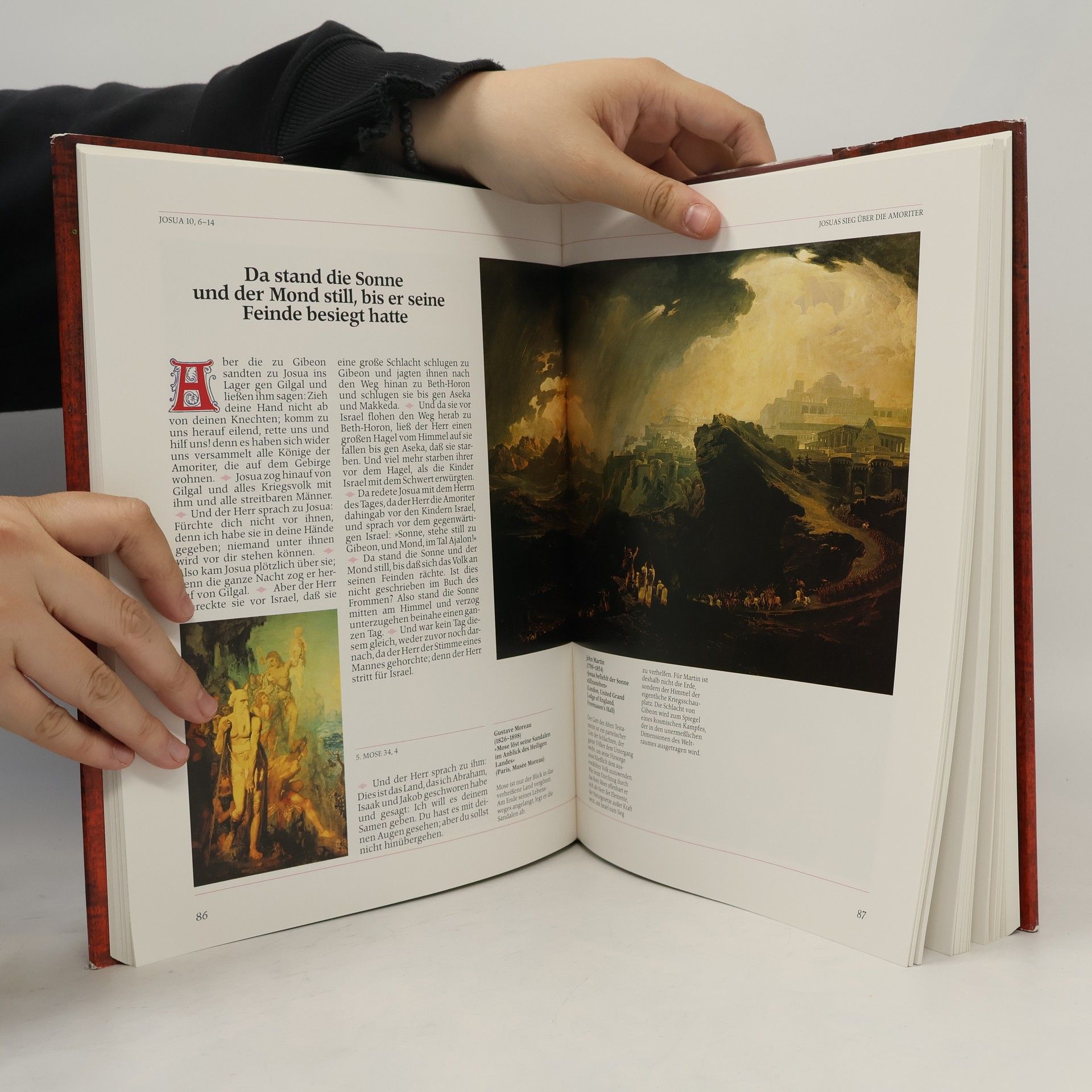 Autores varios Die Bibel in Bildern. Schatzkammer der Malerei