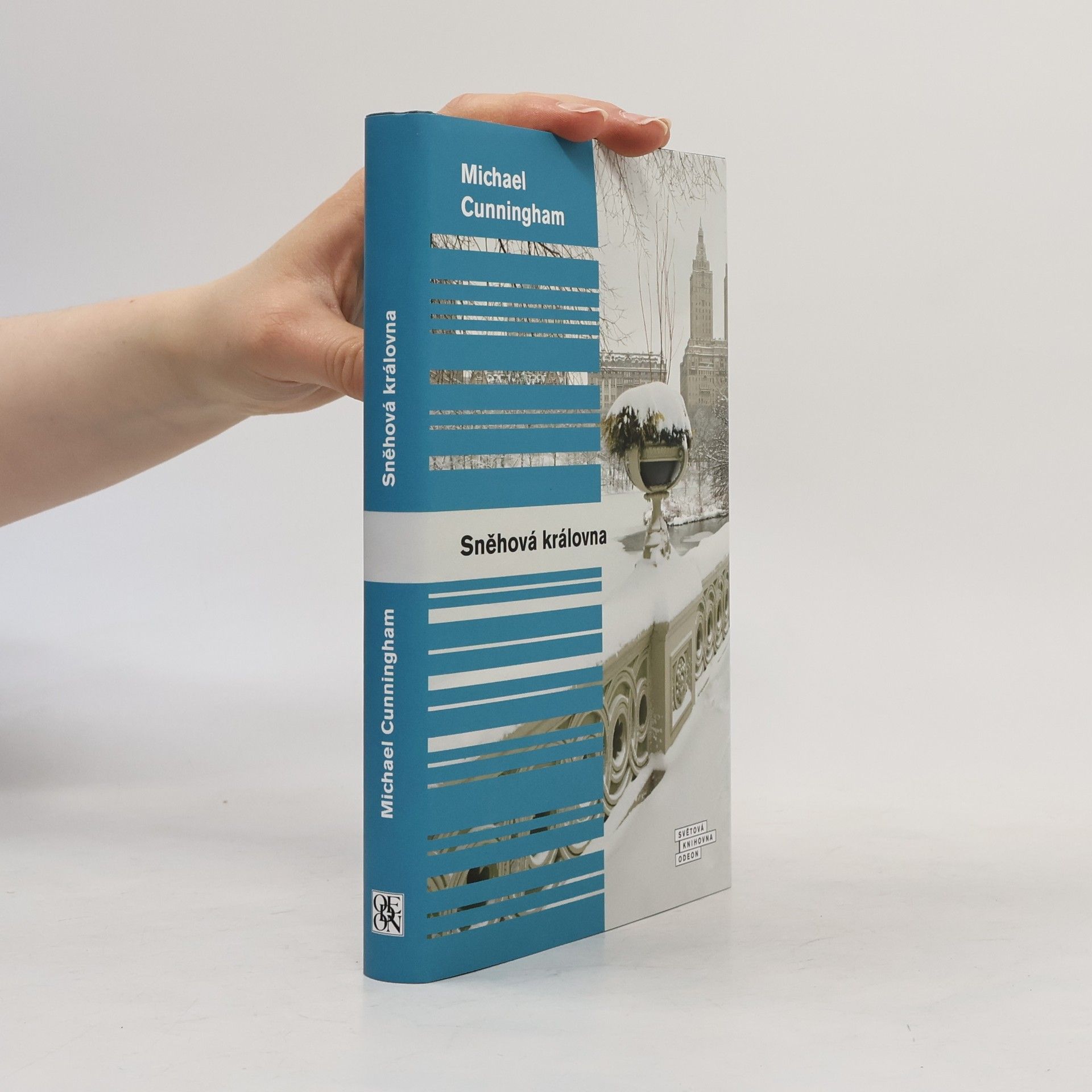 Michael Cunningham Sněhová královna