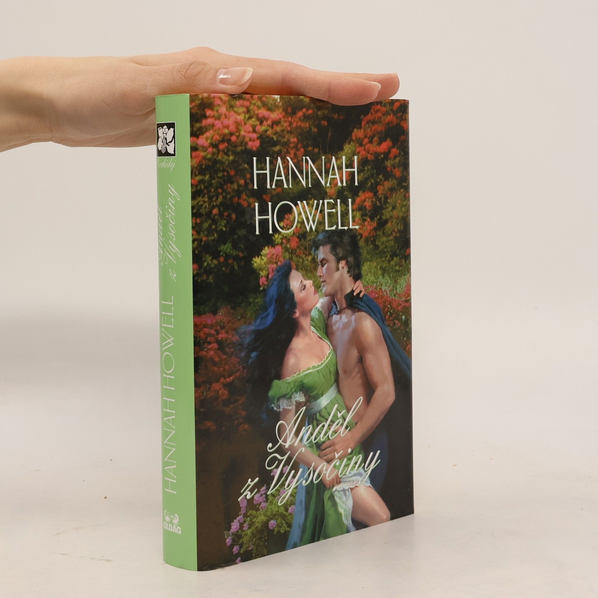 Hannah Howell Anděl z Vysočiny